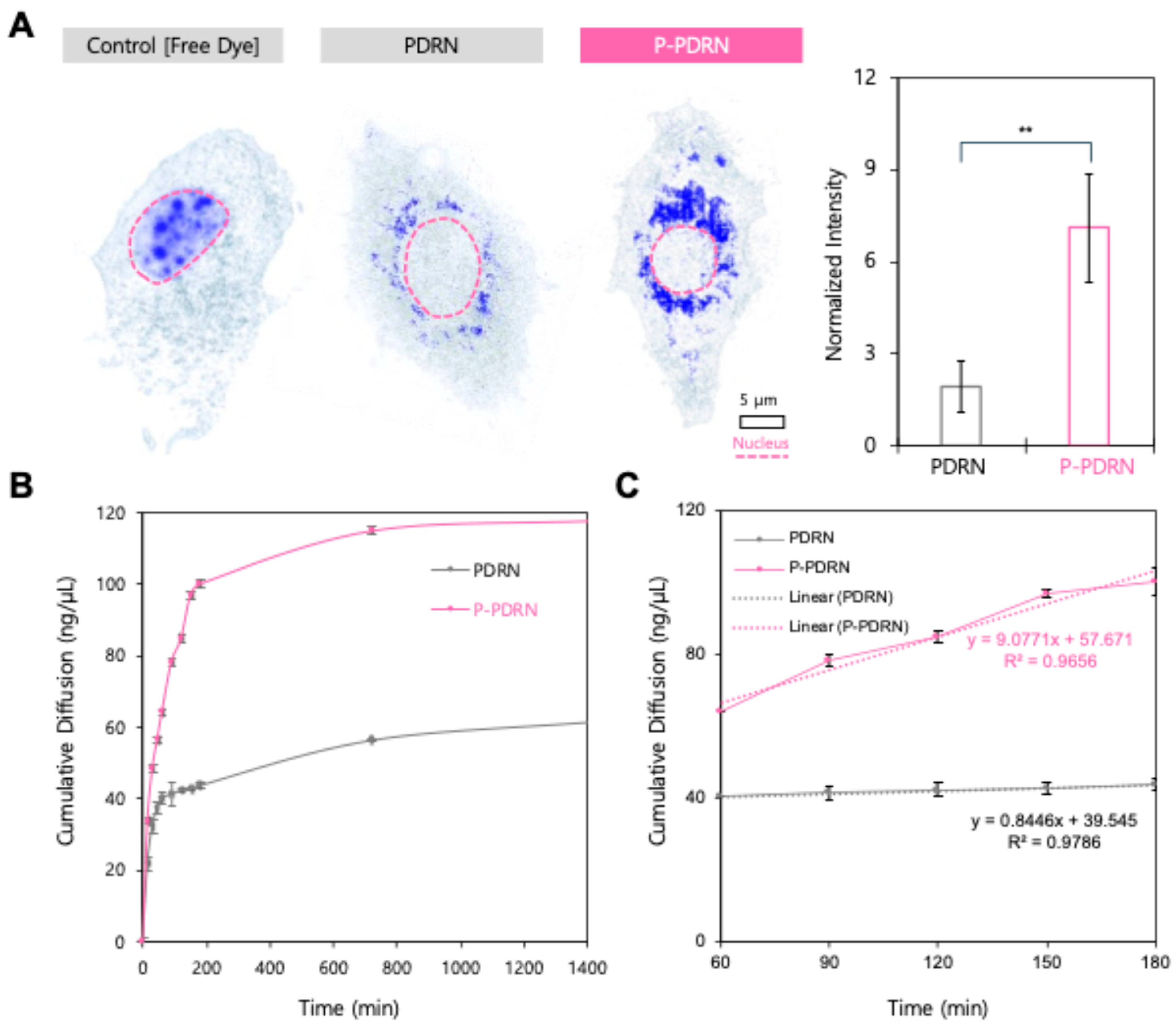 Pharmaceutics 17 01136 g002 Pharmaceutics 17 01136 g002