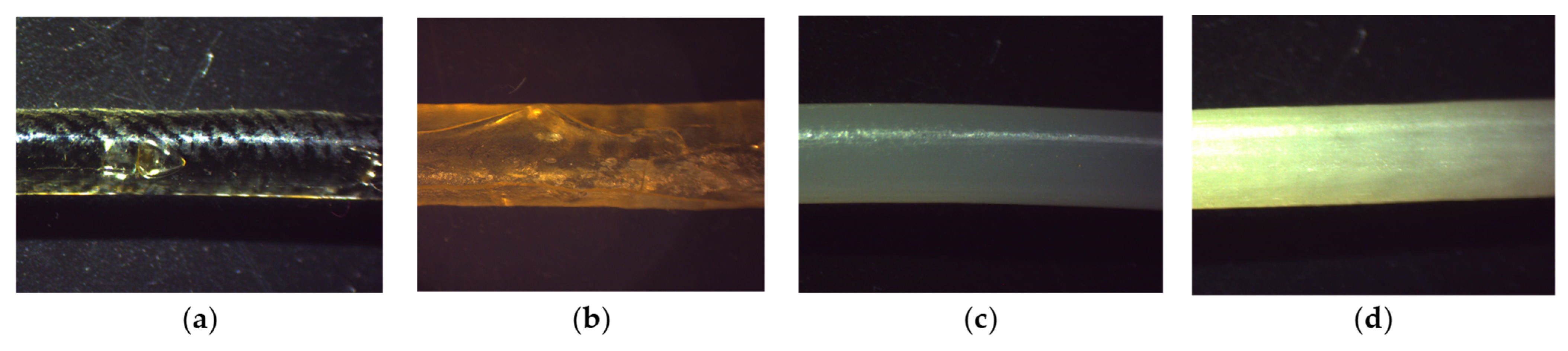 Pharmaceutics 17 01137 g002 Pharmaceutics 17 01137 g002