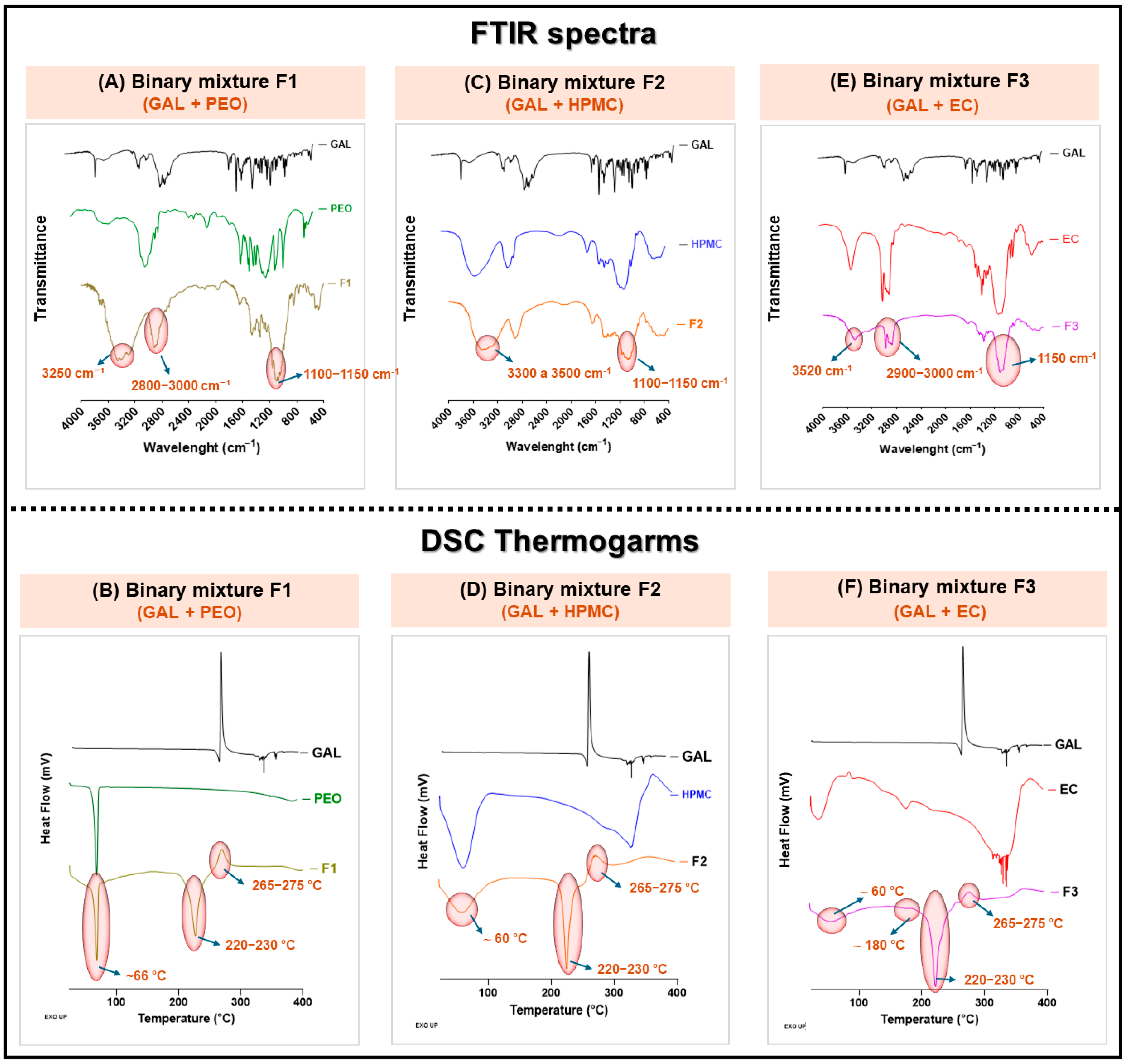 Pharmaceutics 17 01139 g003