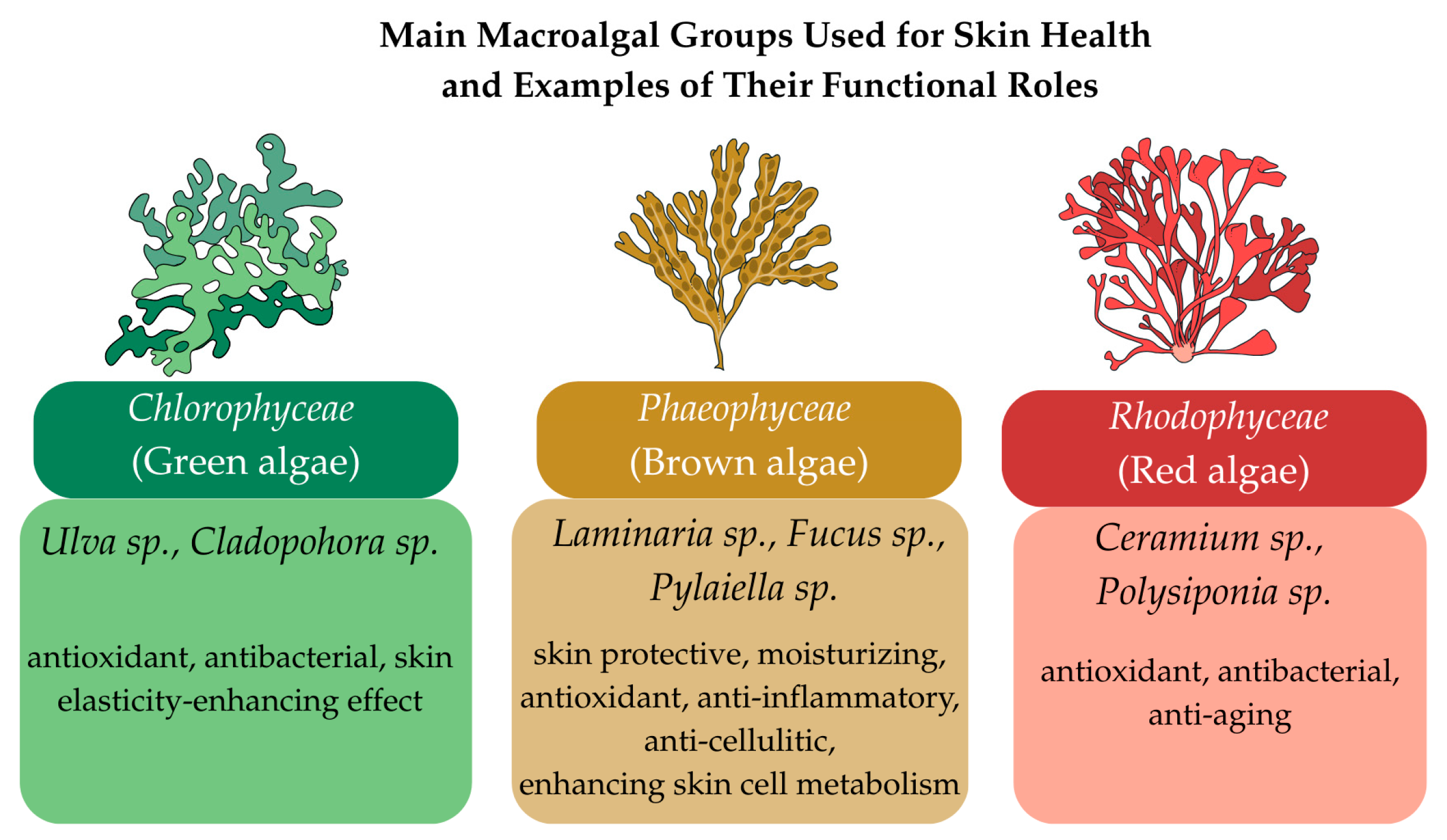 Pharmaceutics 17 01143 g001 Pharmaceutics 17 01143 g001