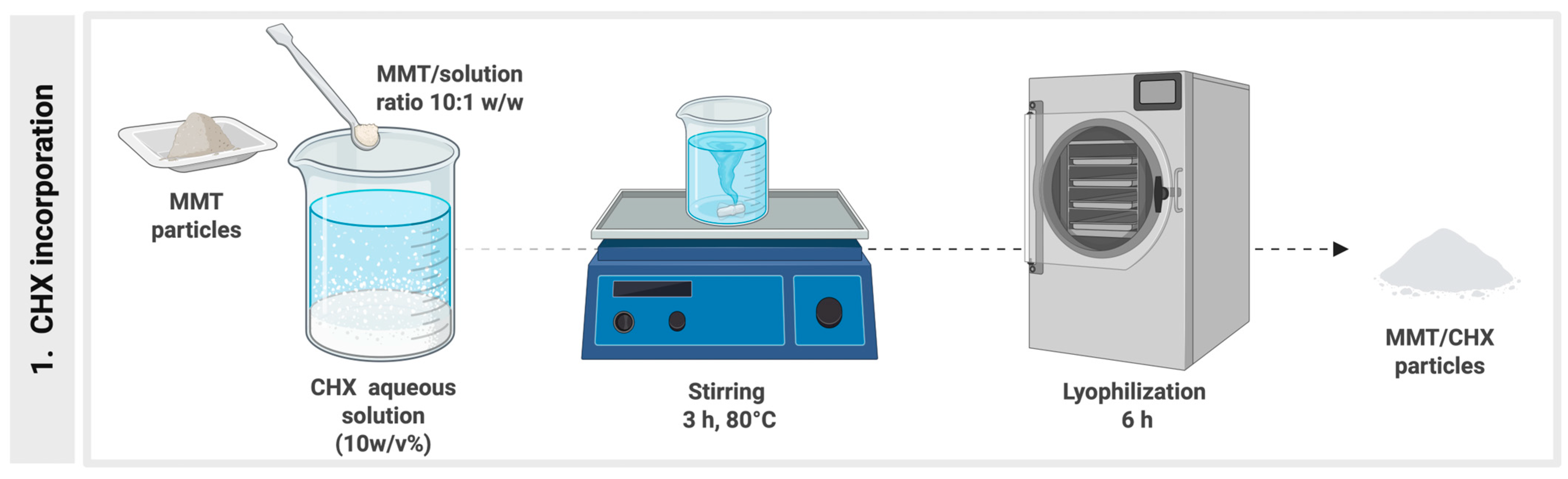 Pharmaceutics 17 01144 g001