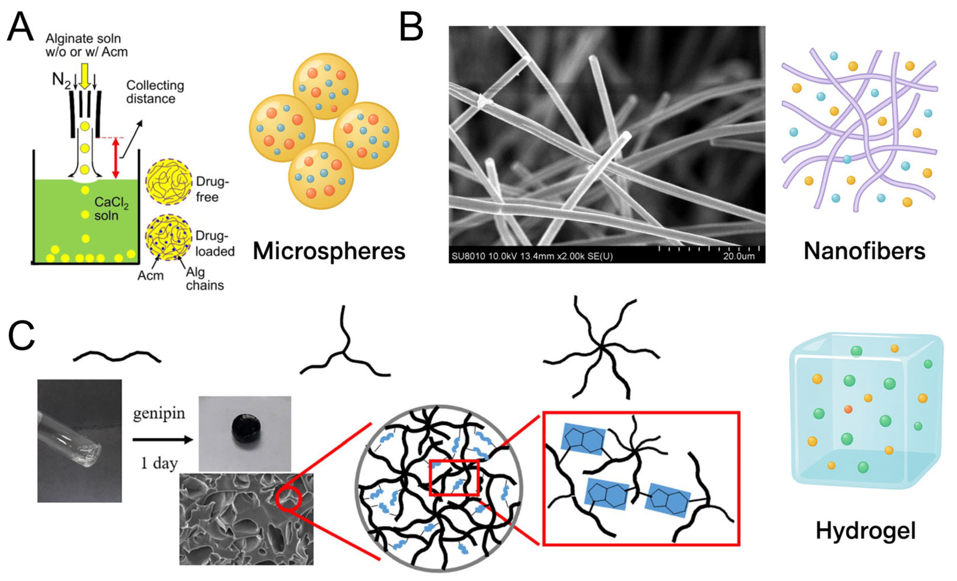 Pharmaceutics 17 01145 g002 Pharmaceutics 17 01145 g002