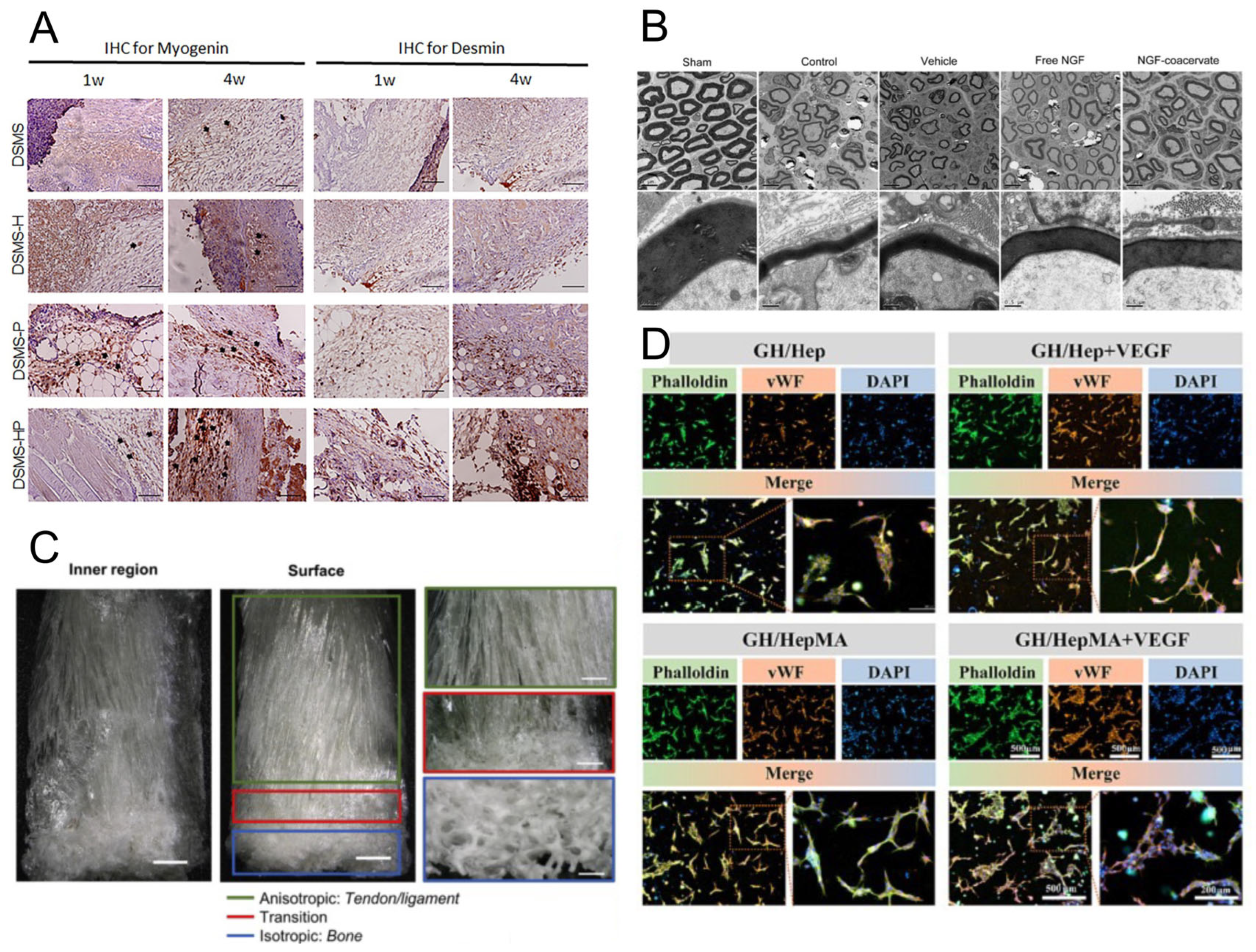 Pharmaceutics 17 01145 g003 Pharmaceutics 17 01145 g003