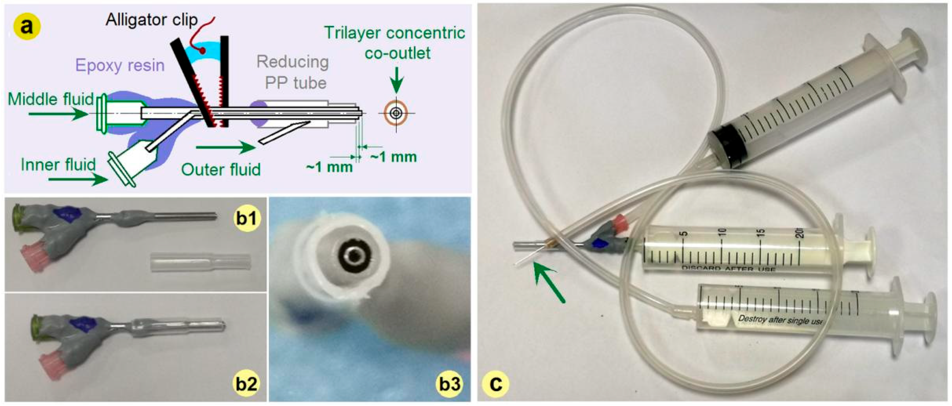 Pharmaceutics 17 01152 g002 Pharmaceutics 17 01152 g002