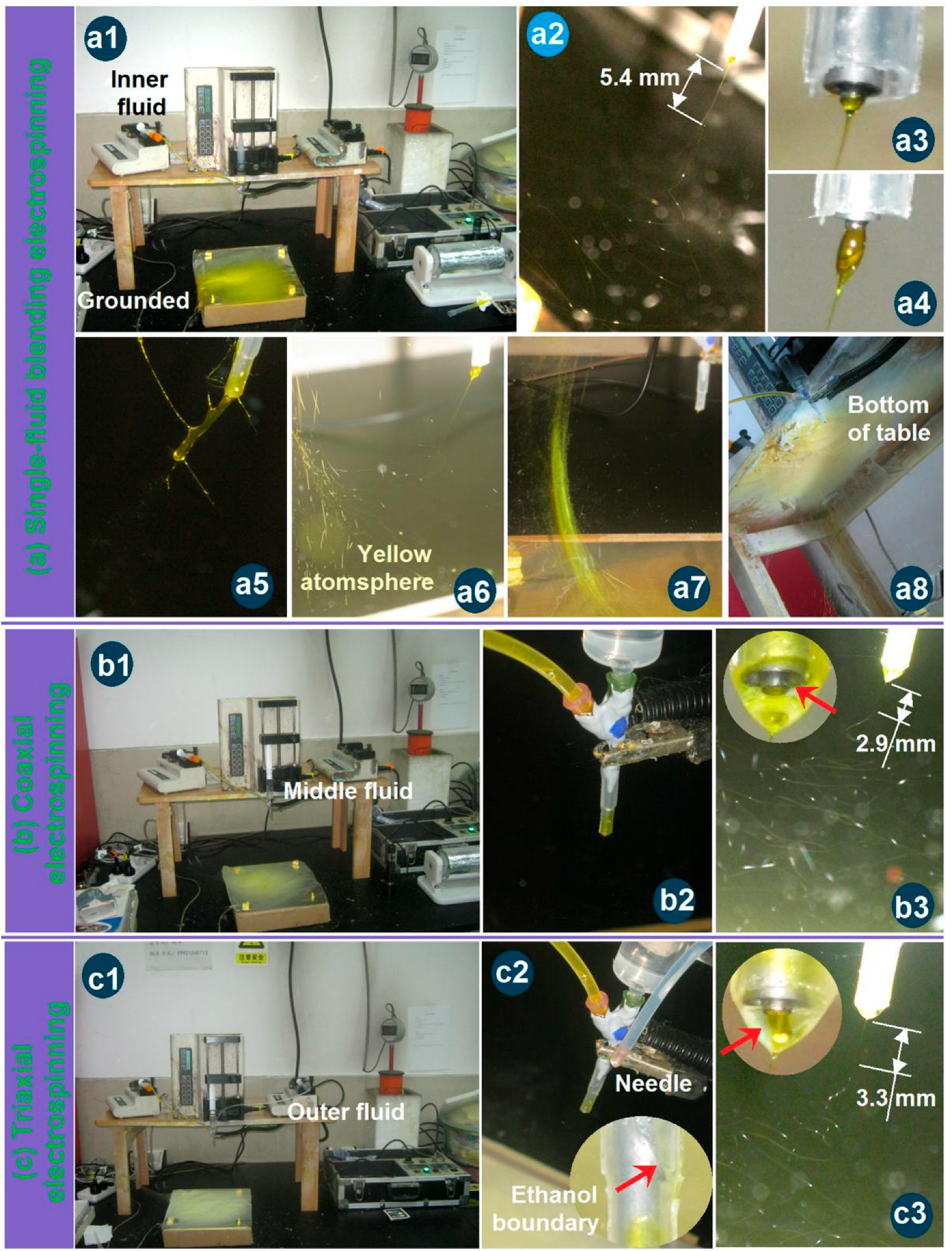 Pharmaceutics 17 01152 g003 Pharmaceutics 17 01152 g003