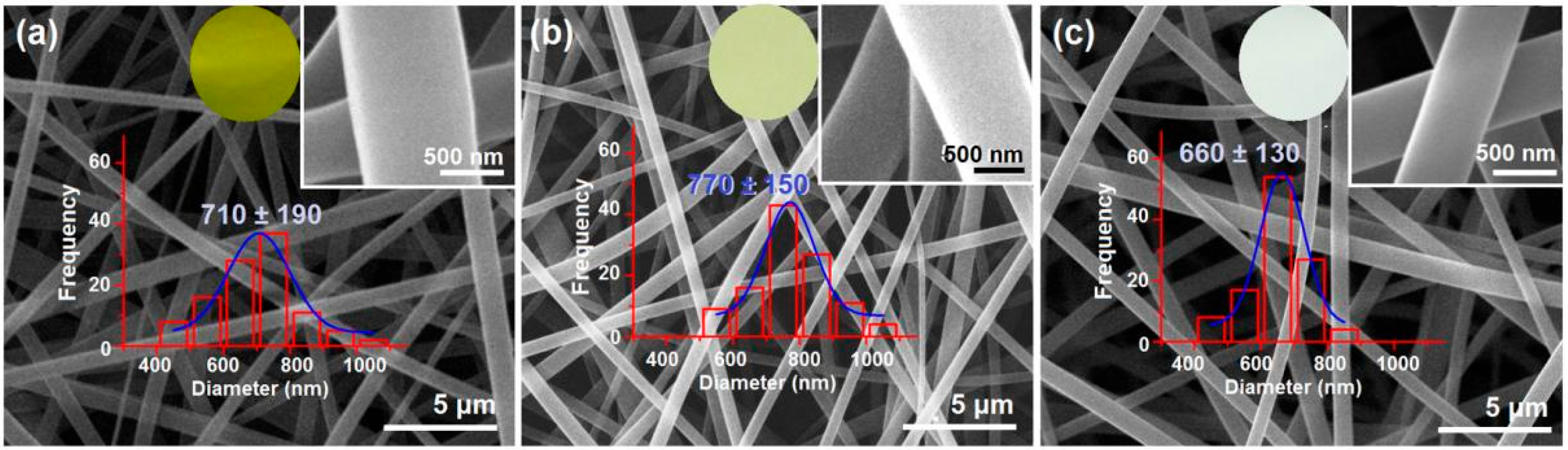 Pharmaceutics 17 01152 g004 Pharmaceutics 17 01152 g004