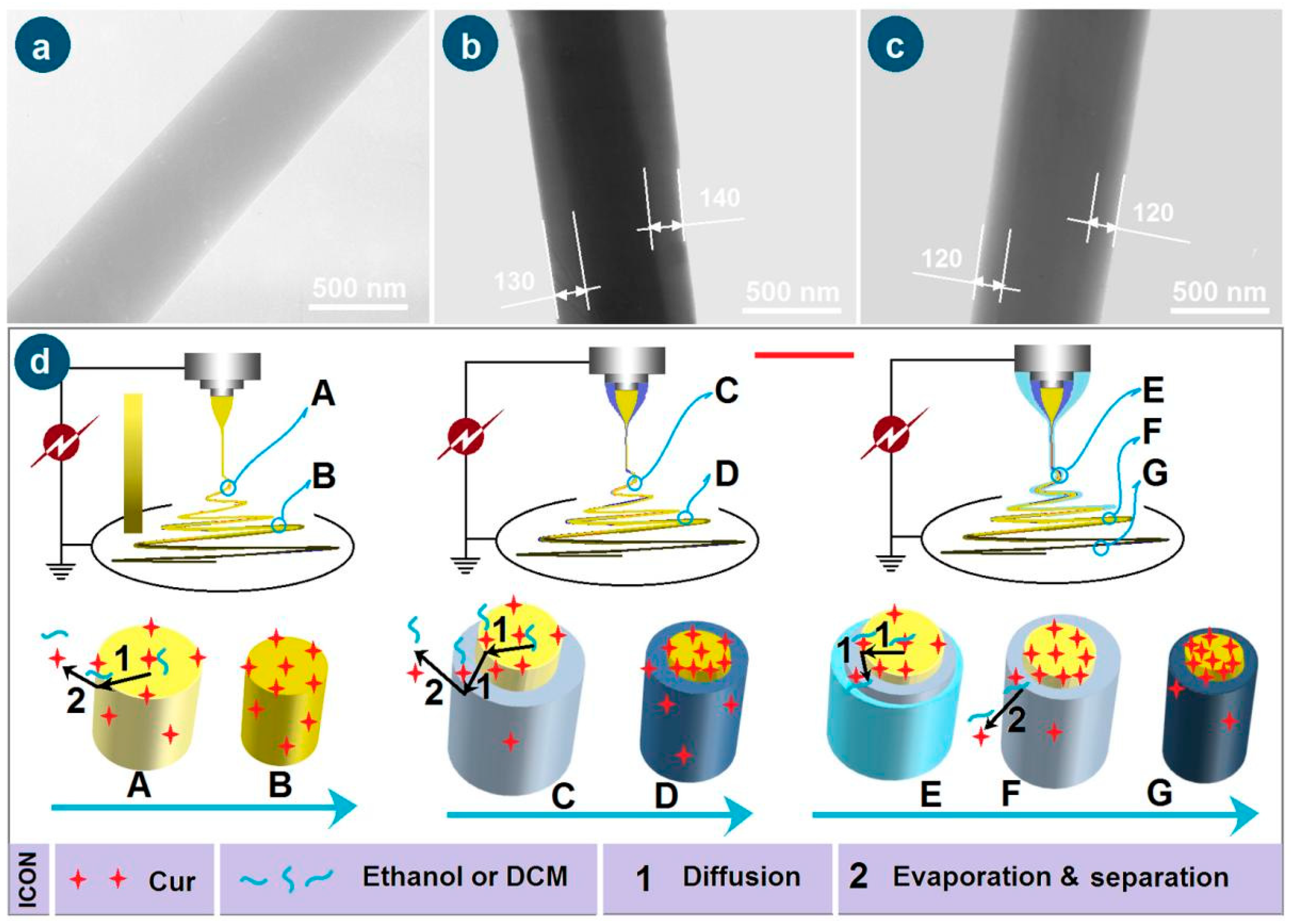 Pharmaceutics 17 01152 g005 Pharmaceutics 17 01152 g005