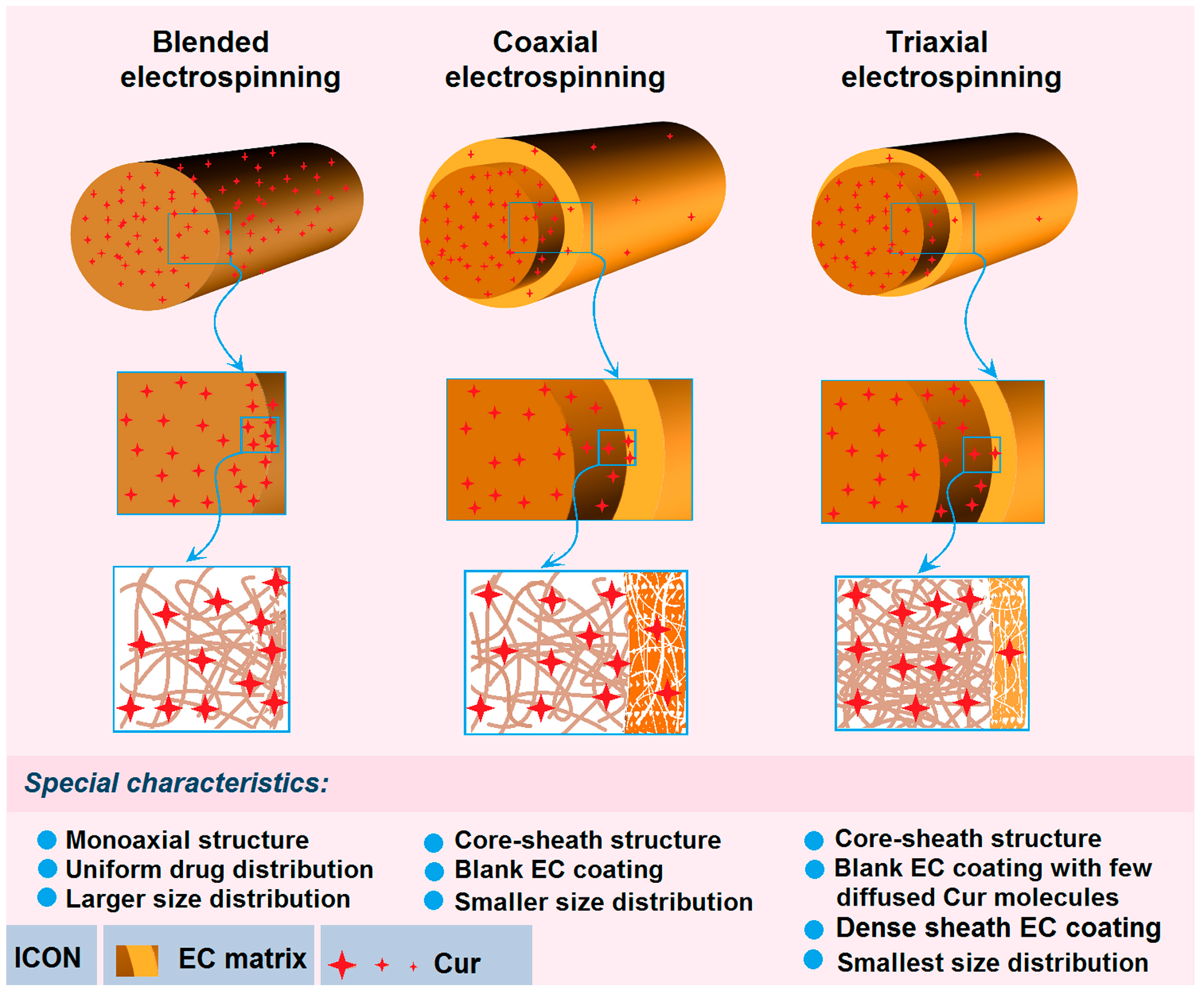 Pharmaceutics 17 01152 g010 Pharmaceutics 17 01152 g010