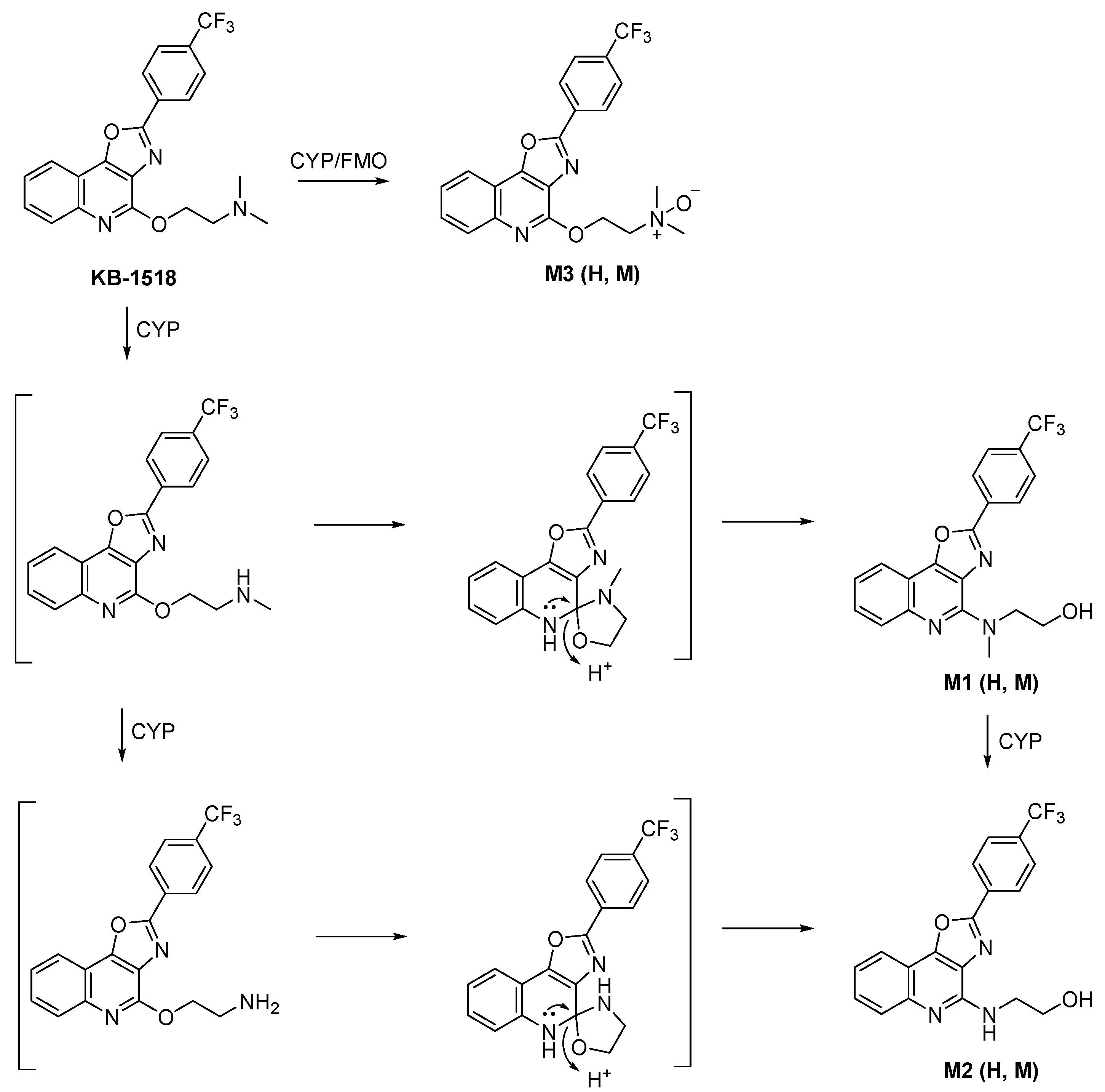 Pharmaceutics 17 01153 sch002 Pharmaceutics 17 01153 sch002