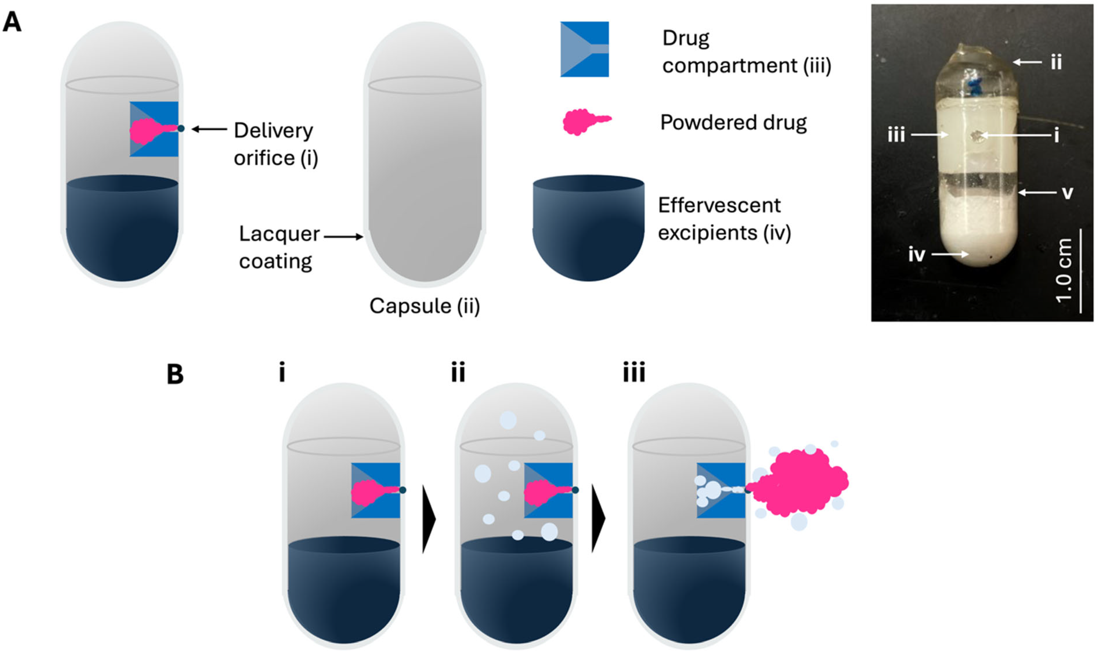 Pharmaceutics 17 01156 g001