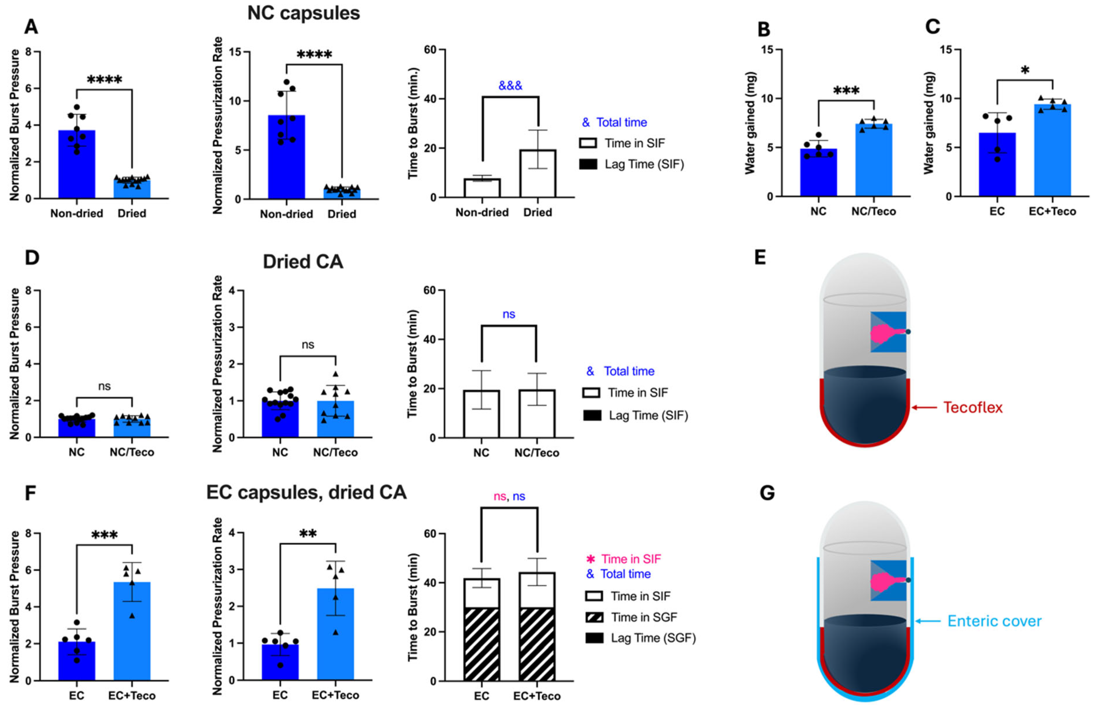 Pharmaceutics 17 01156 g006