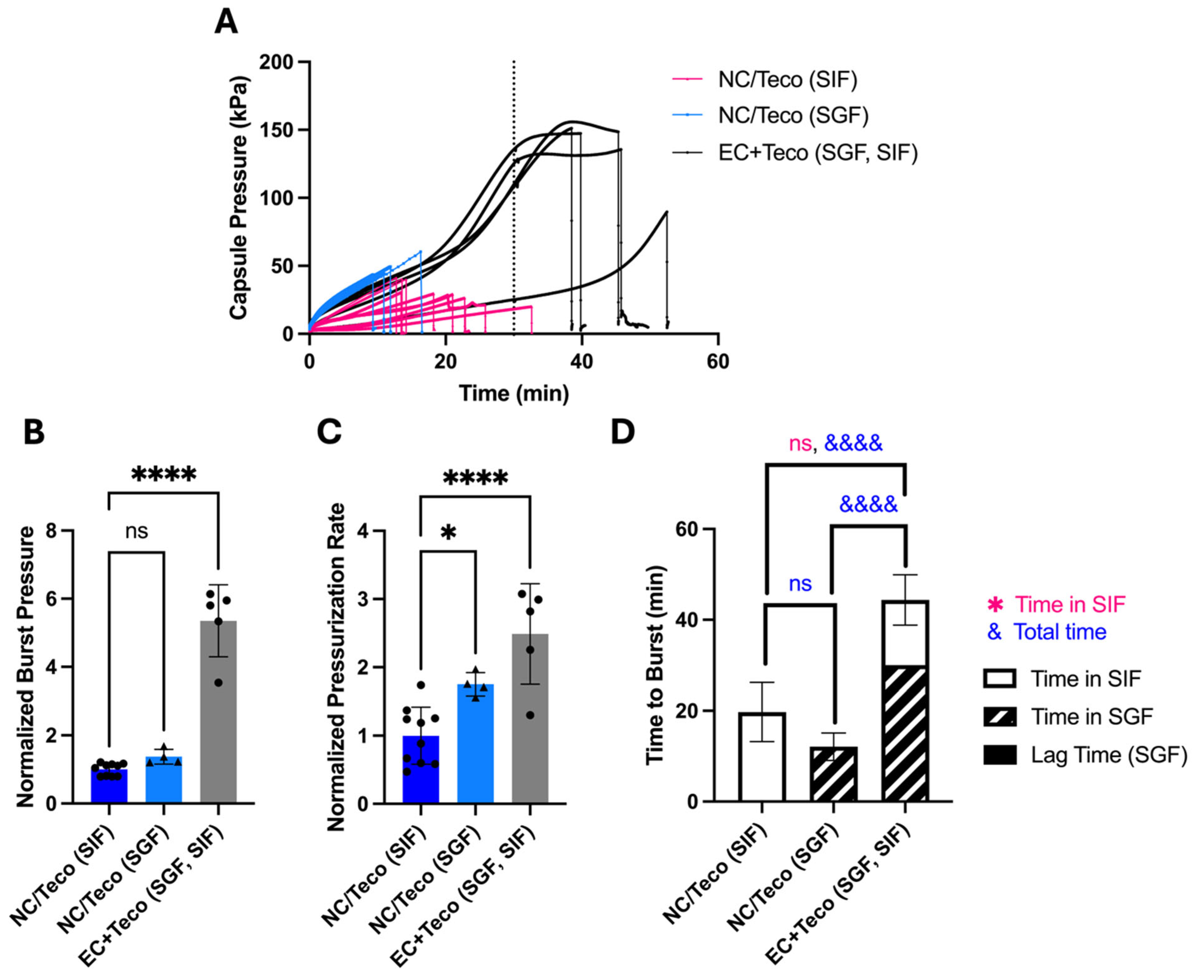 Pharmaceutics 17 01156 g007