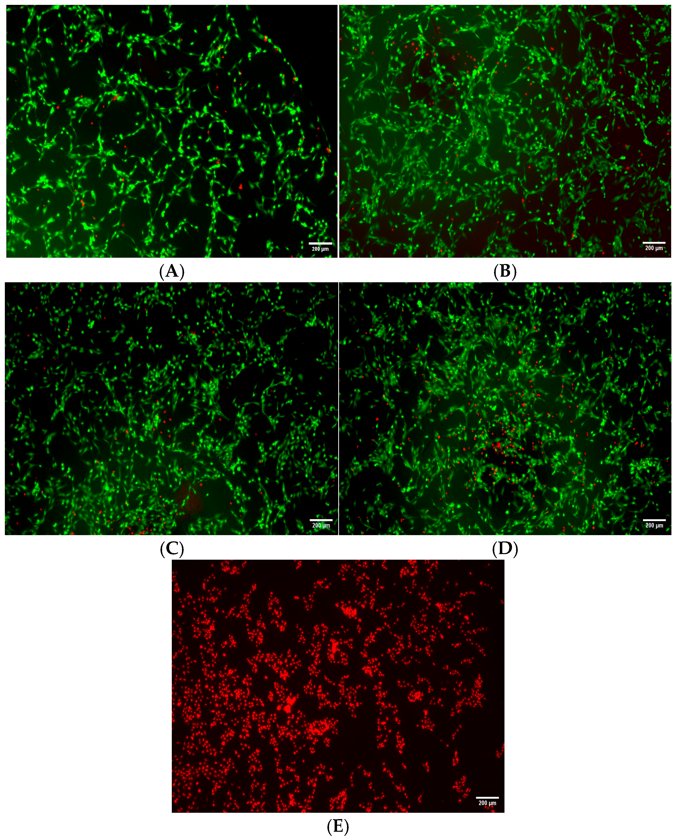 Pharmaceutics 17 01157 g004
