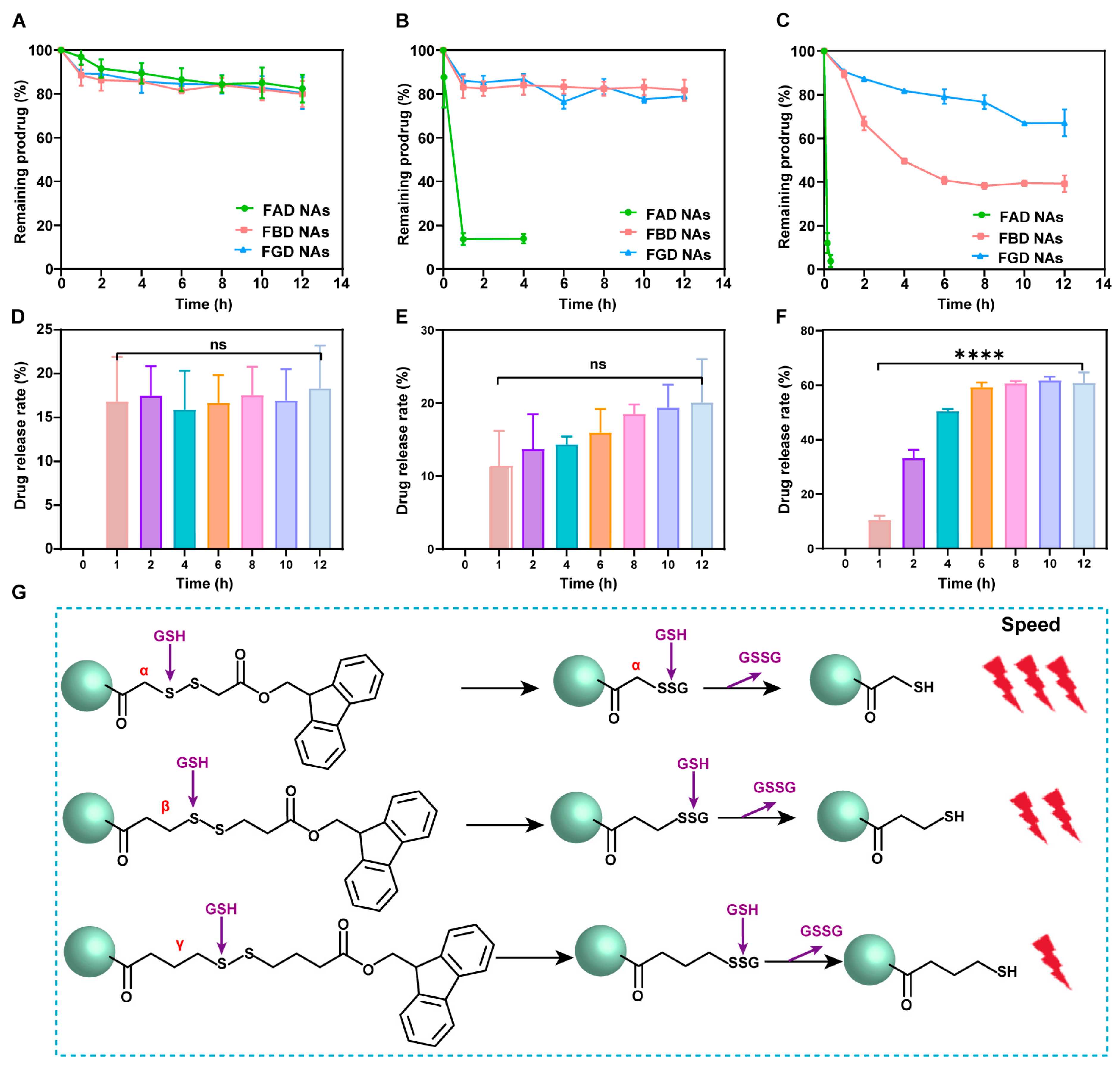 Pharmaceutics 17 01162 g002
