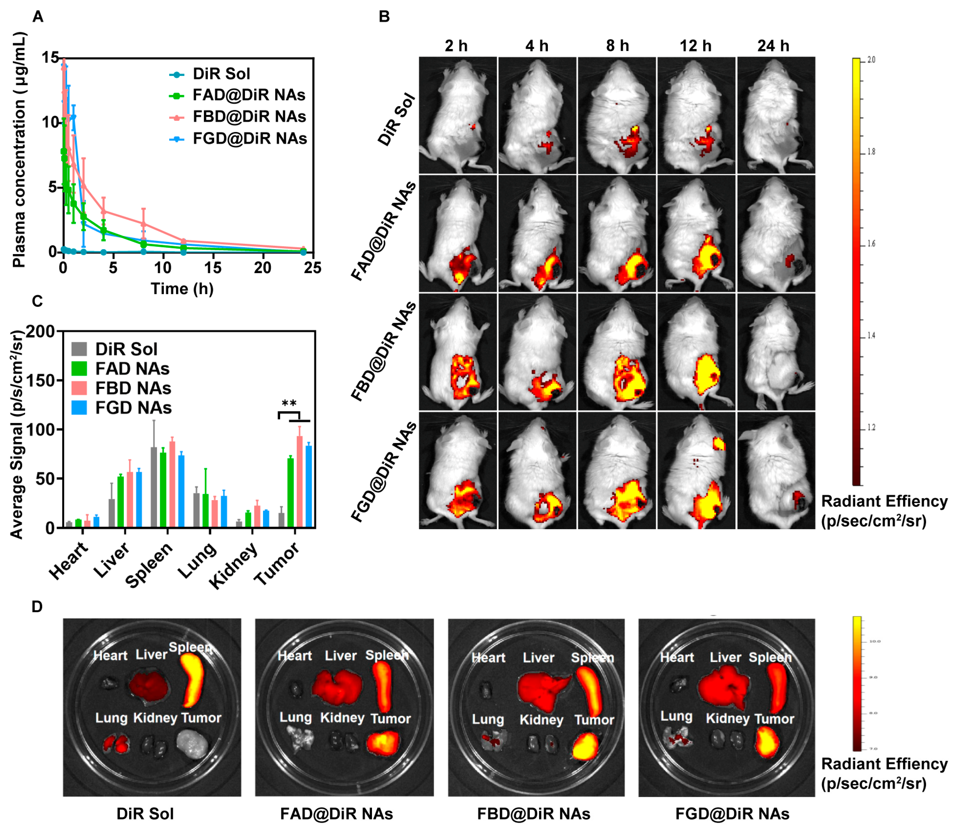 Pharmaceutics 17 01162 g004
