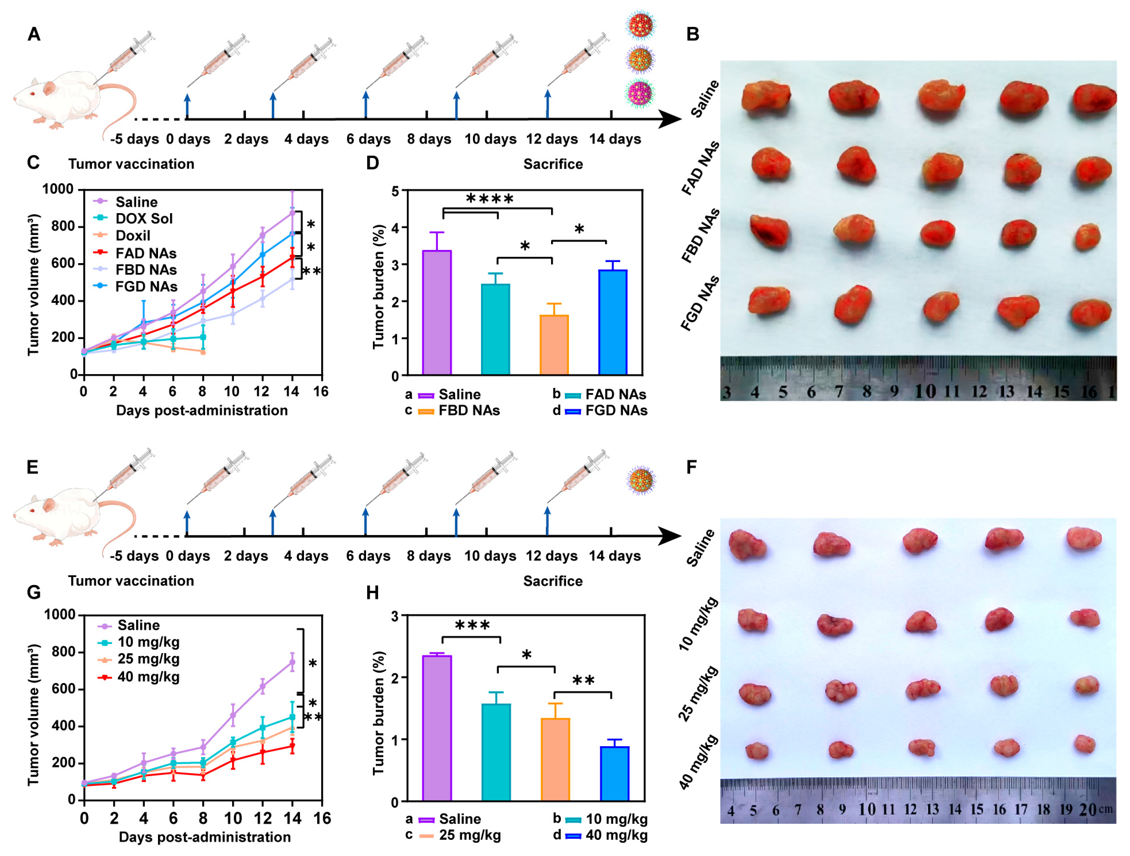 Pharmaceutics 17 01162 g005