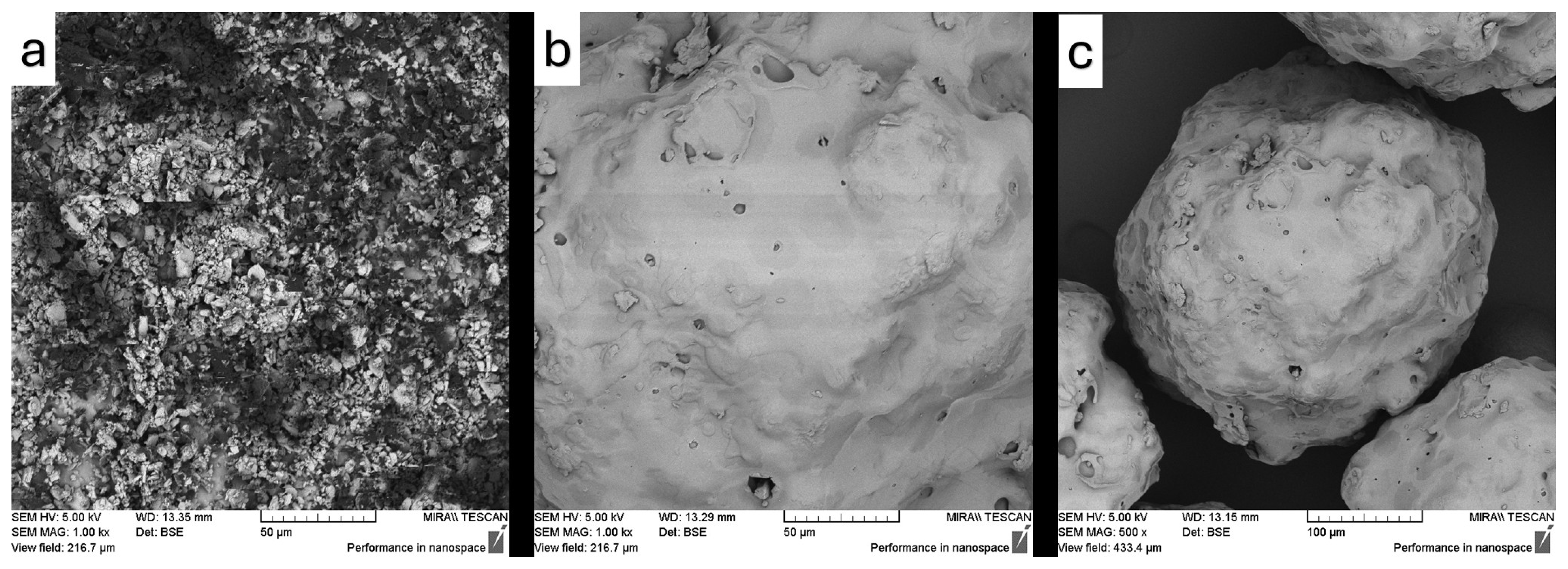 Pharmaceutics 17 01163 g012 Pharmaceutics 17 01163 g012