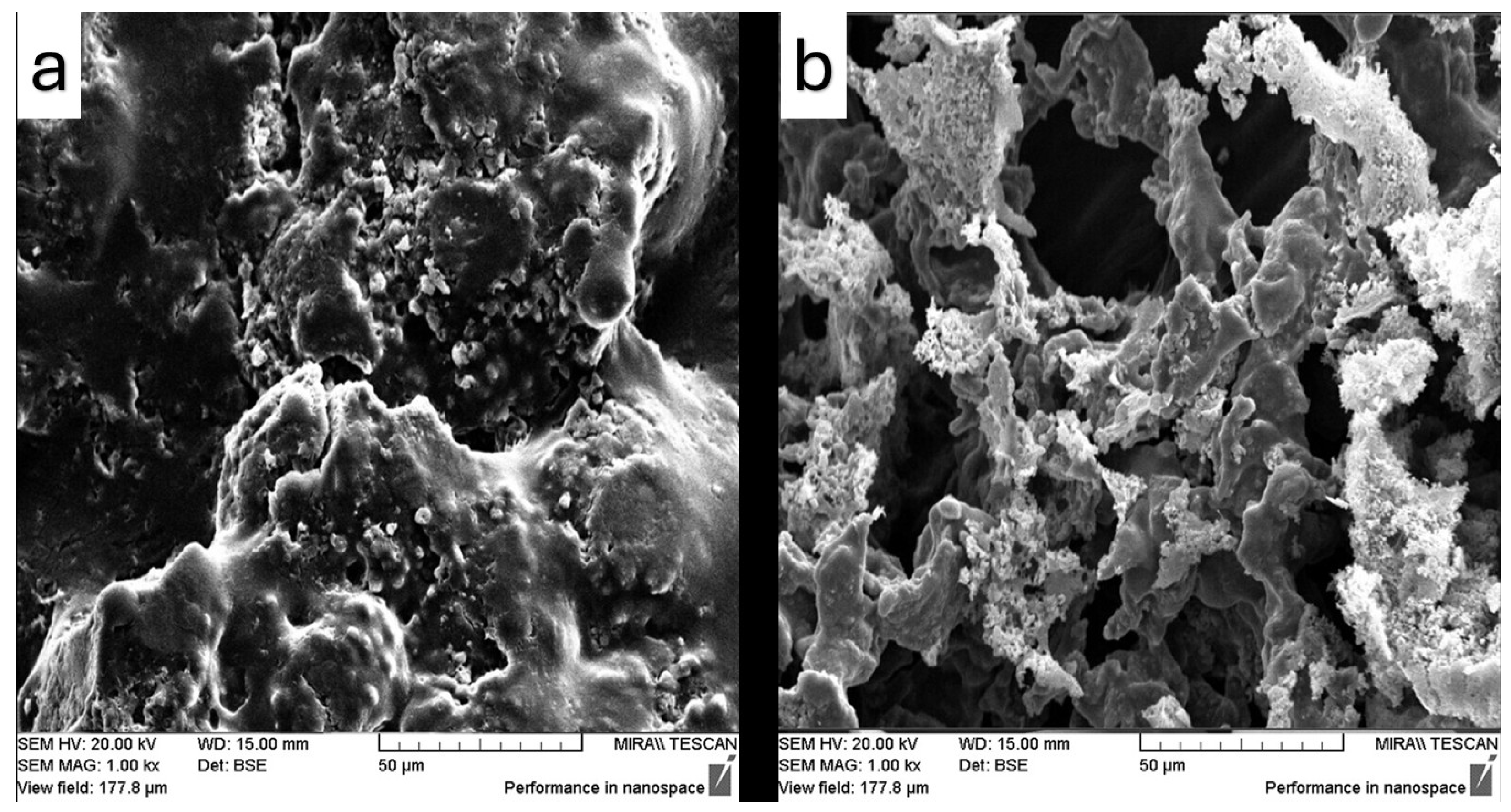 Pharmaceutics 17 01163 g014 Pharmaceutics 17 01163 g014