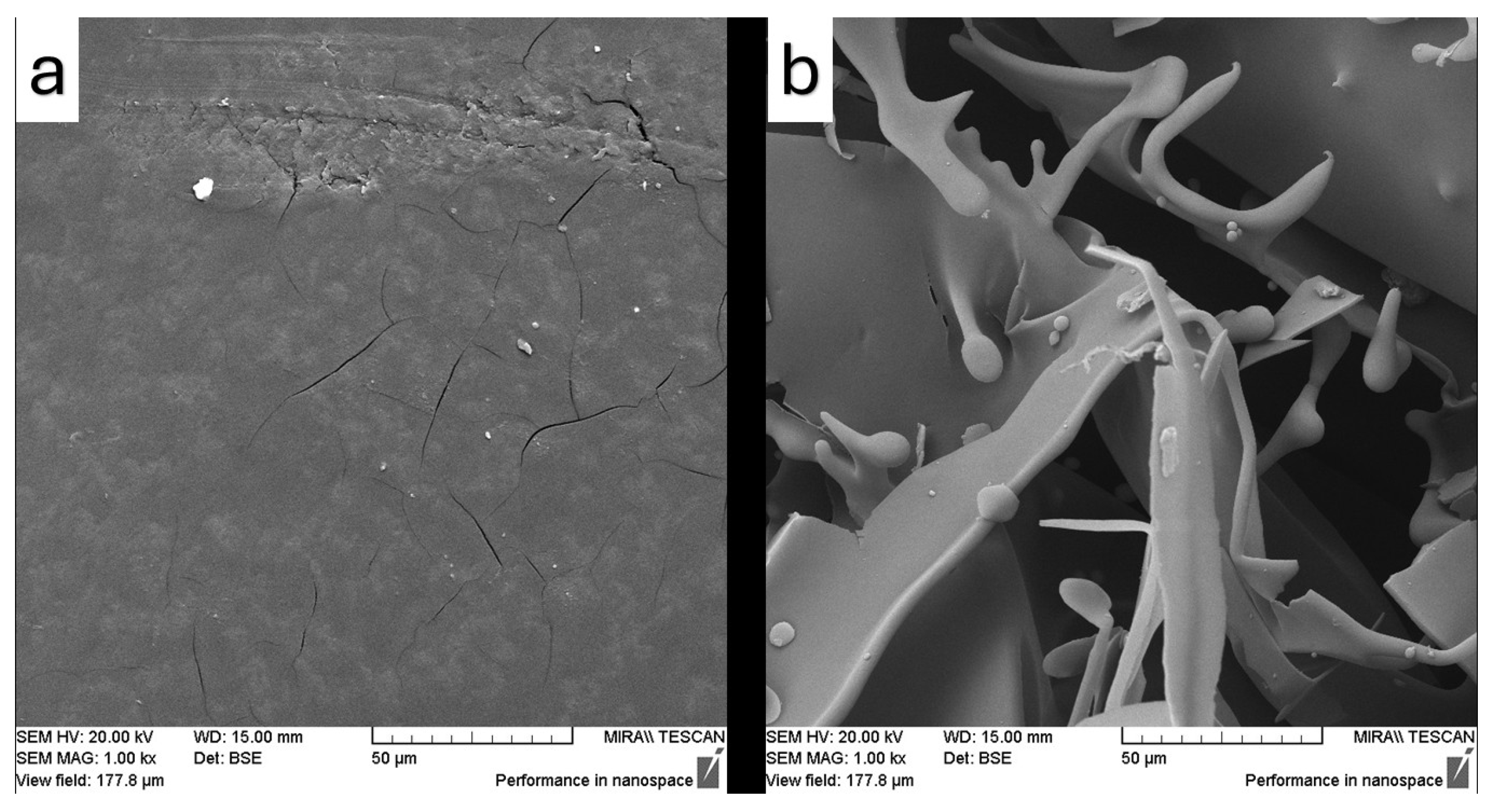 Pharmaceutics 17 01163 g015 Pharmaceutics 17 01163 g015