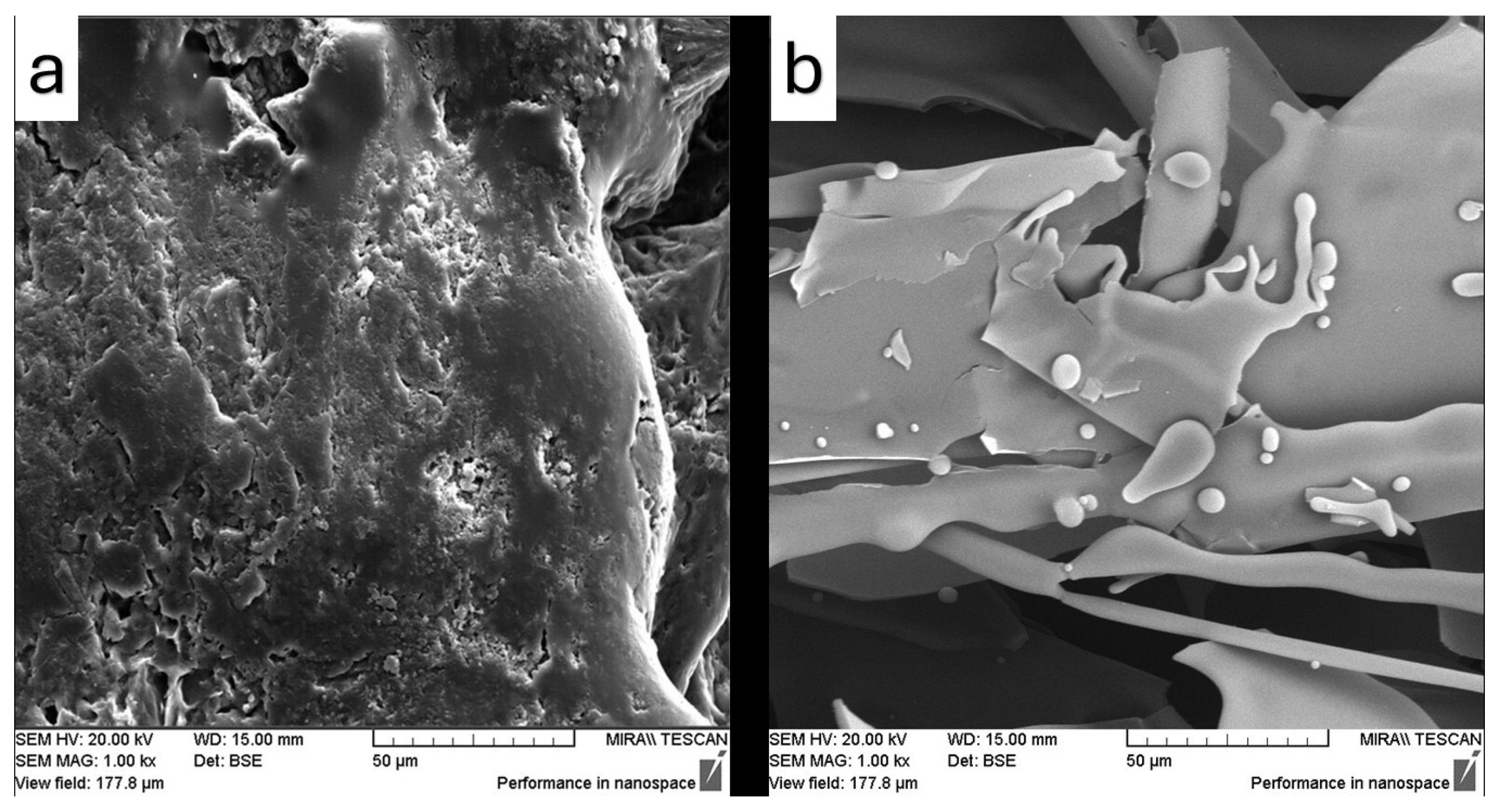 Pharmaceutics 17 01163 g016 Pharmaceutics 17 01163 g016
