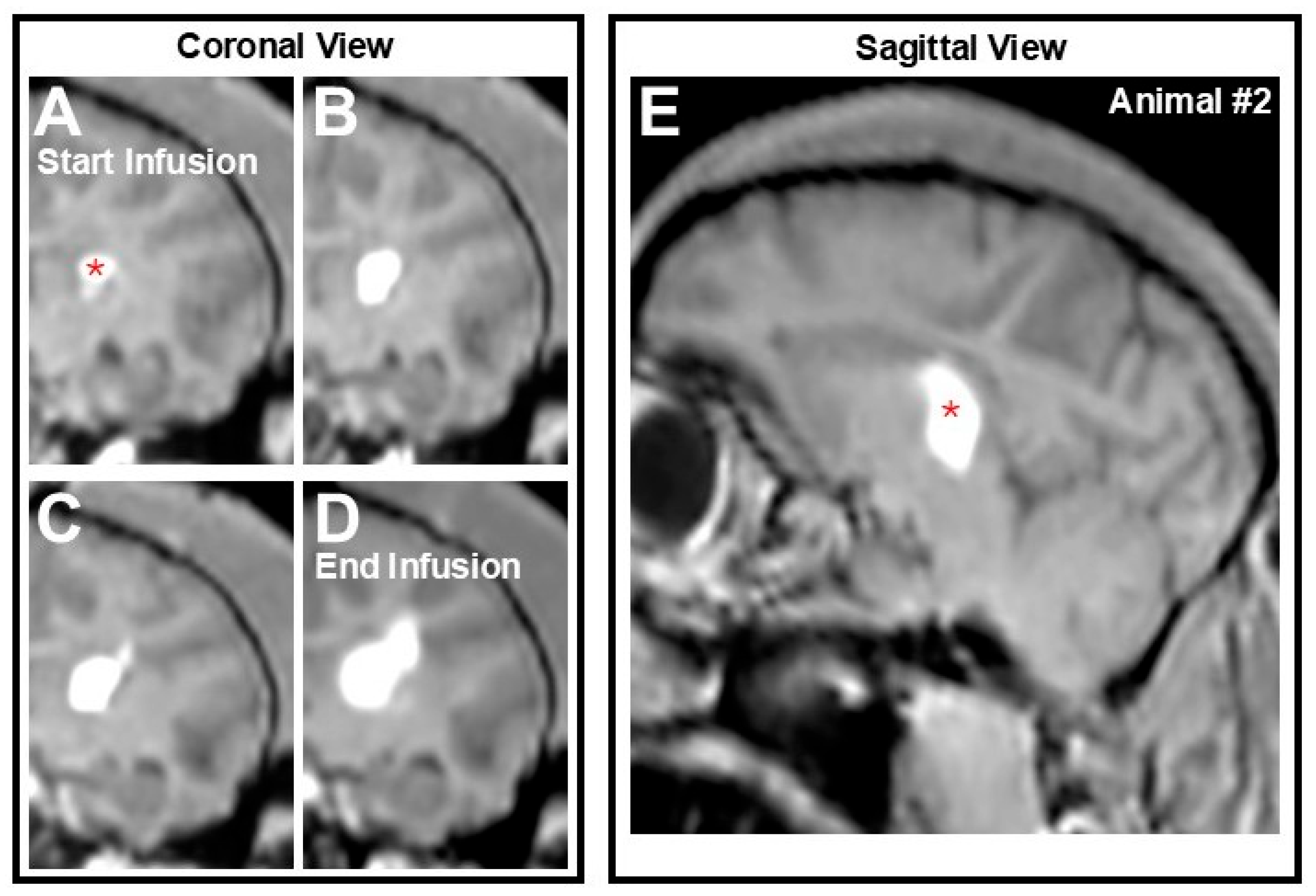 Pharmaceutics 17 01167 g002
