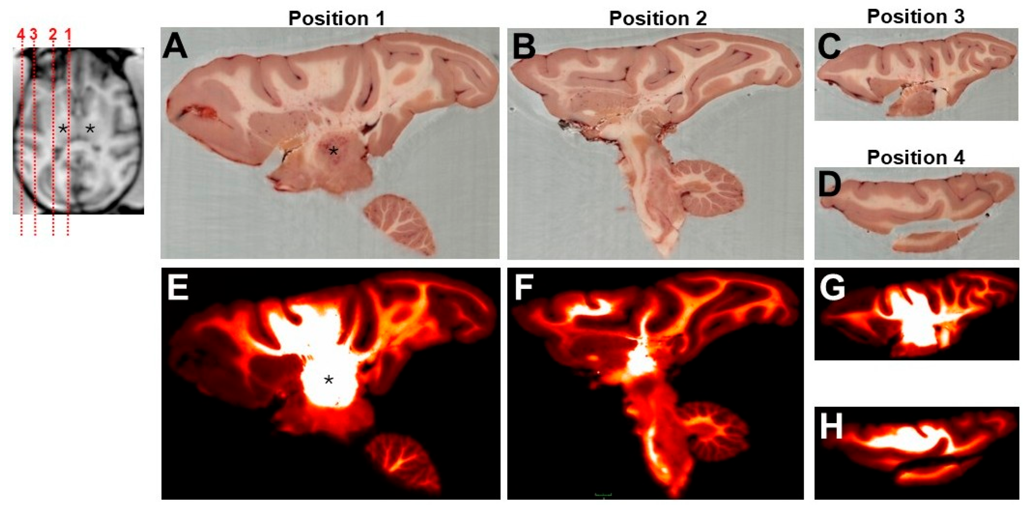 Pharmaceutics 17 01167 g003