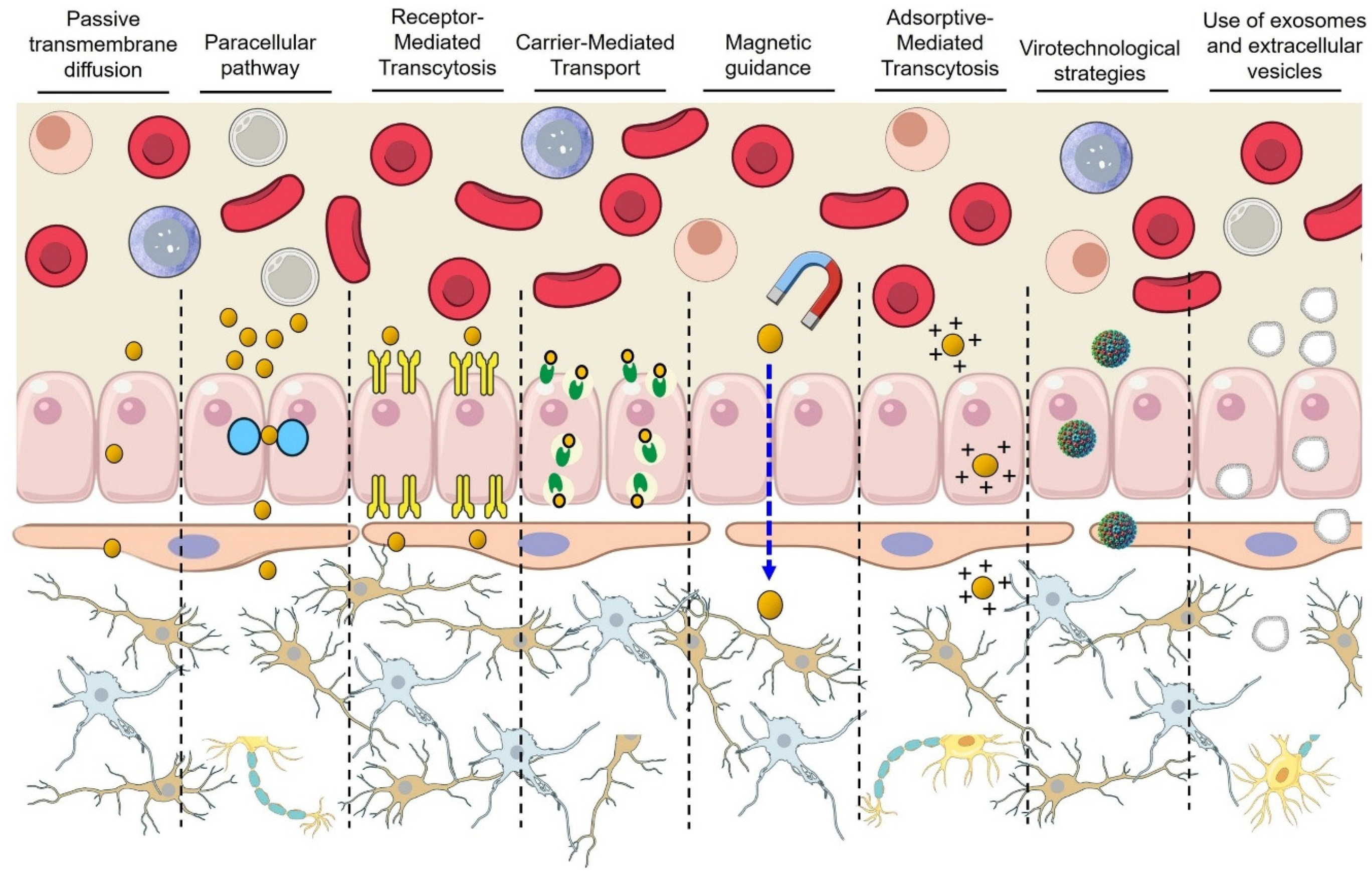 Pharmaceutics 17 01169 g003