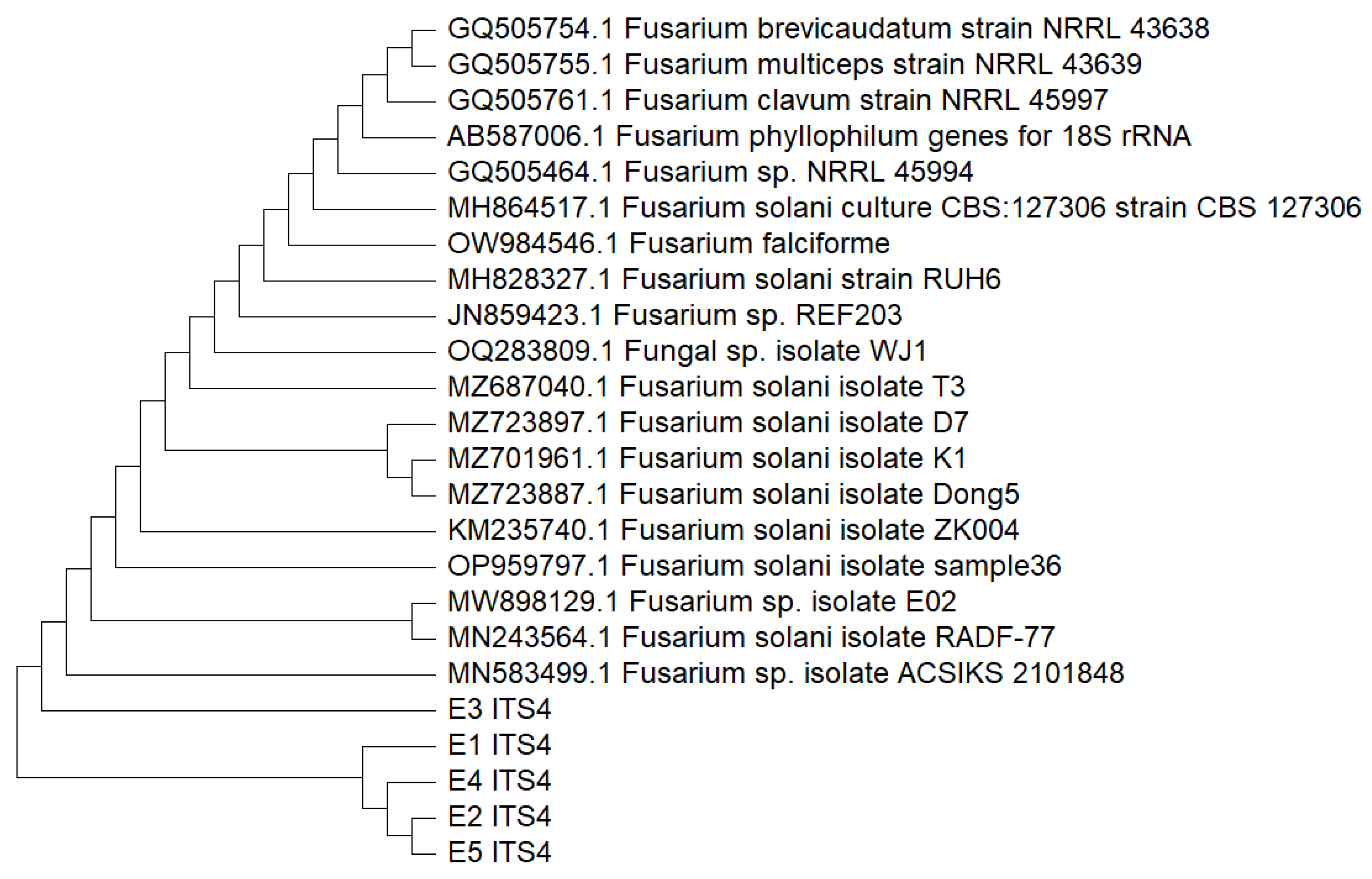Pharmaceutics 17 01170 g004