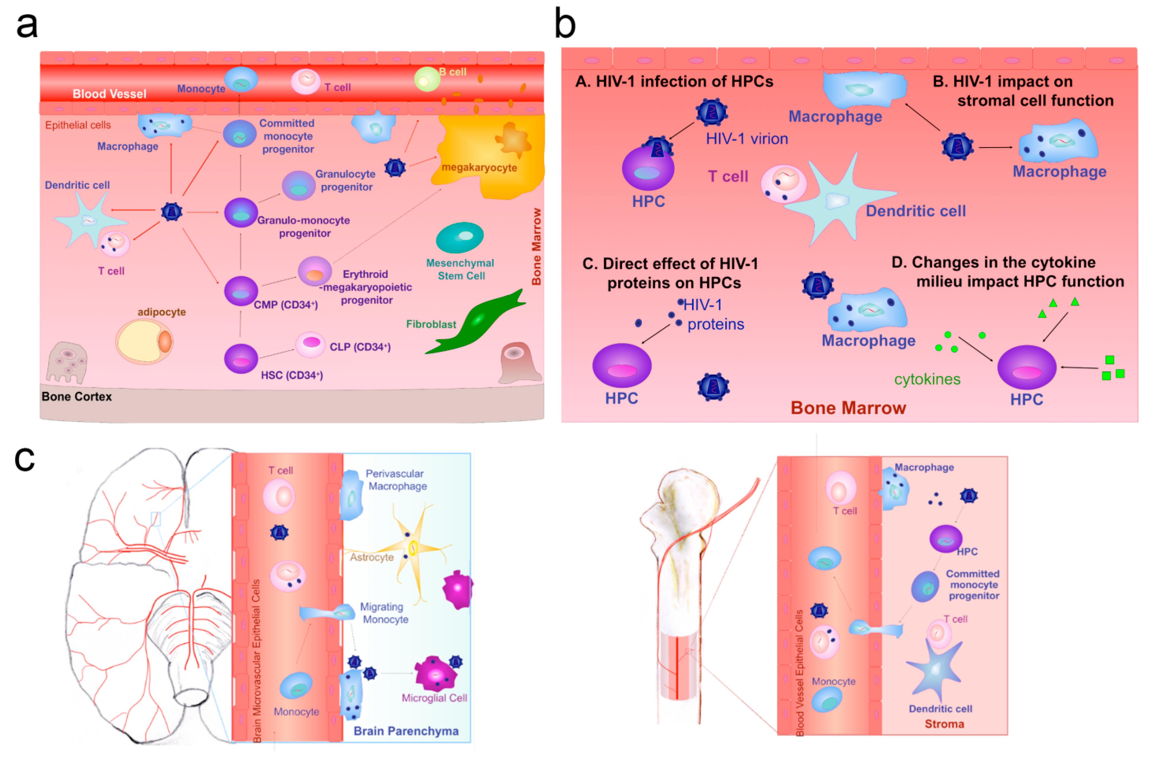 Pharmaceutics 17 01175 g002