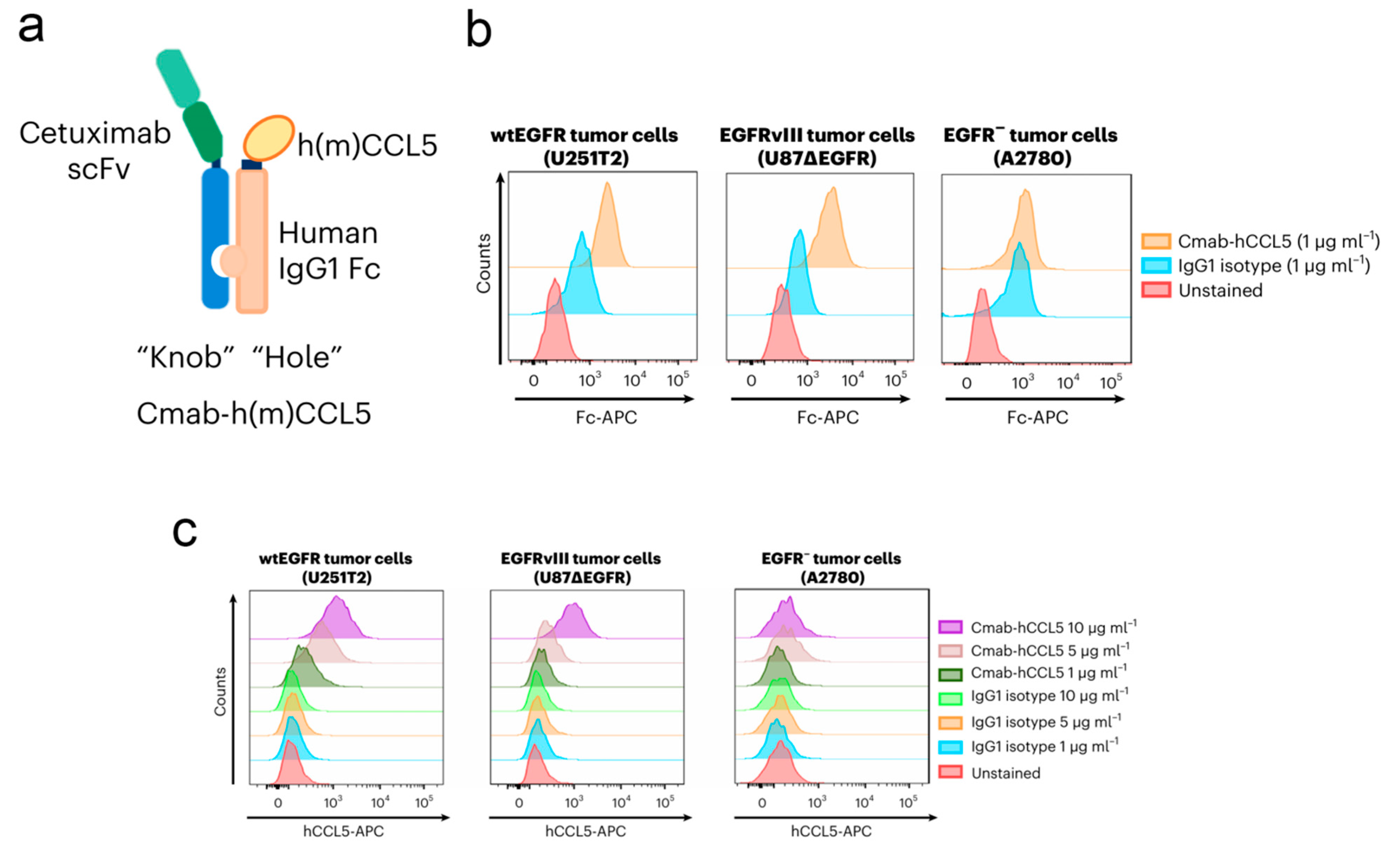 Pharmaceutics 17 01175 g004