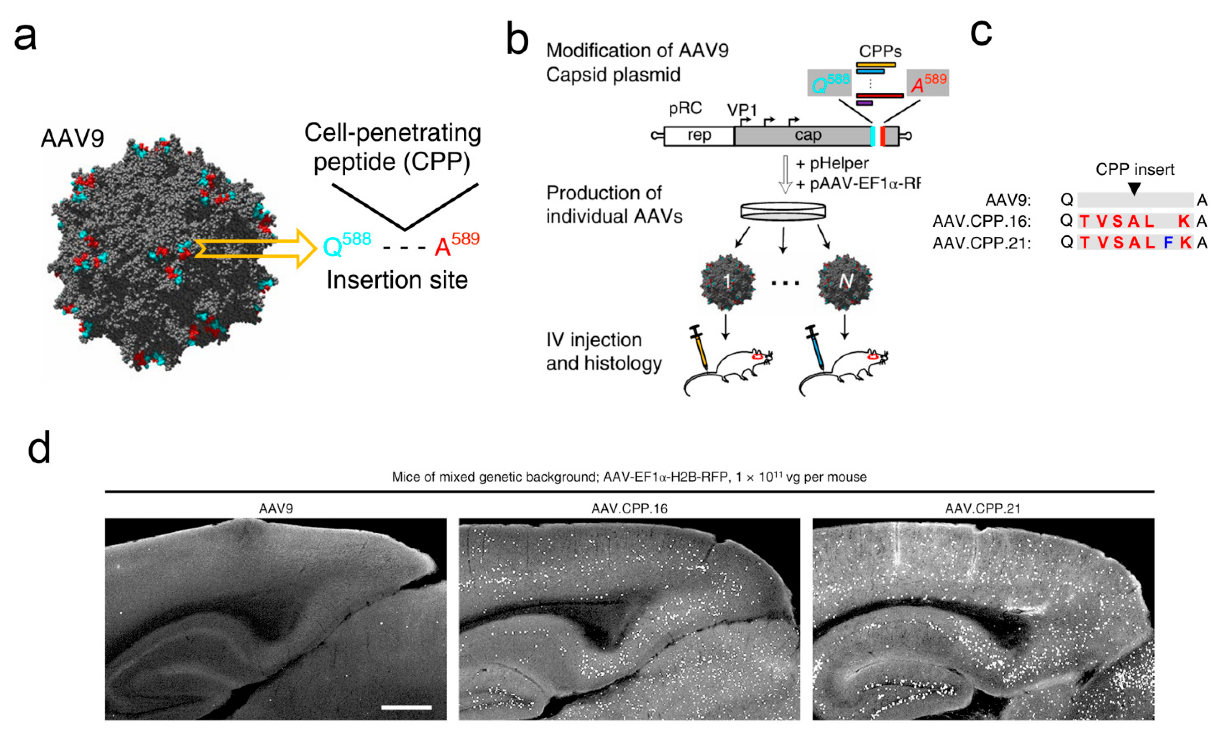 Pharmaceutics 17 01175 g005