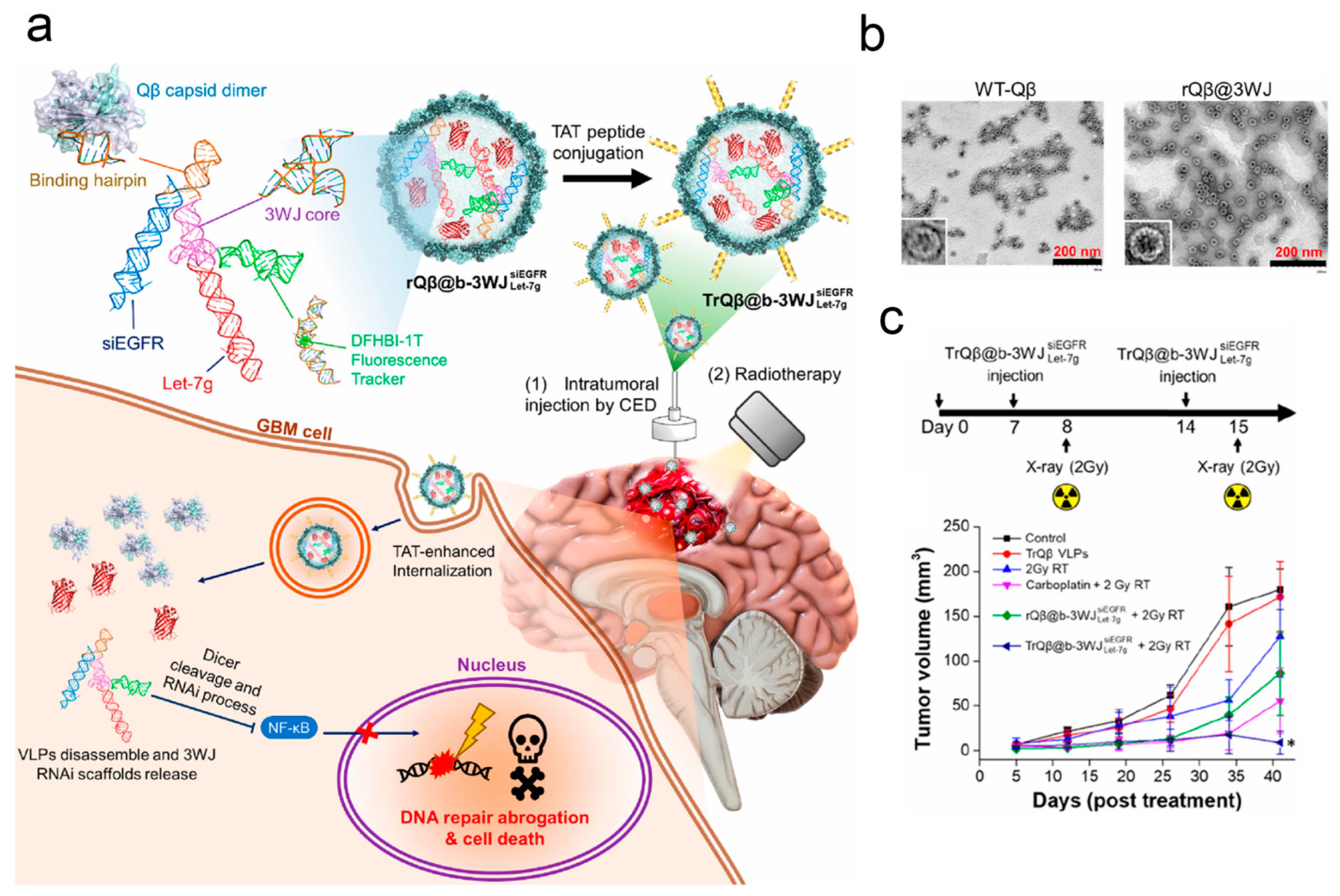 Pharmaceutics 17 01175 g006