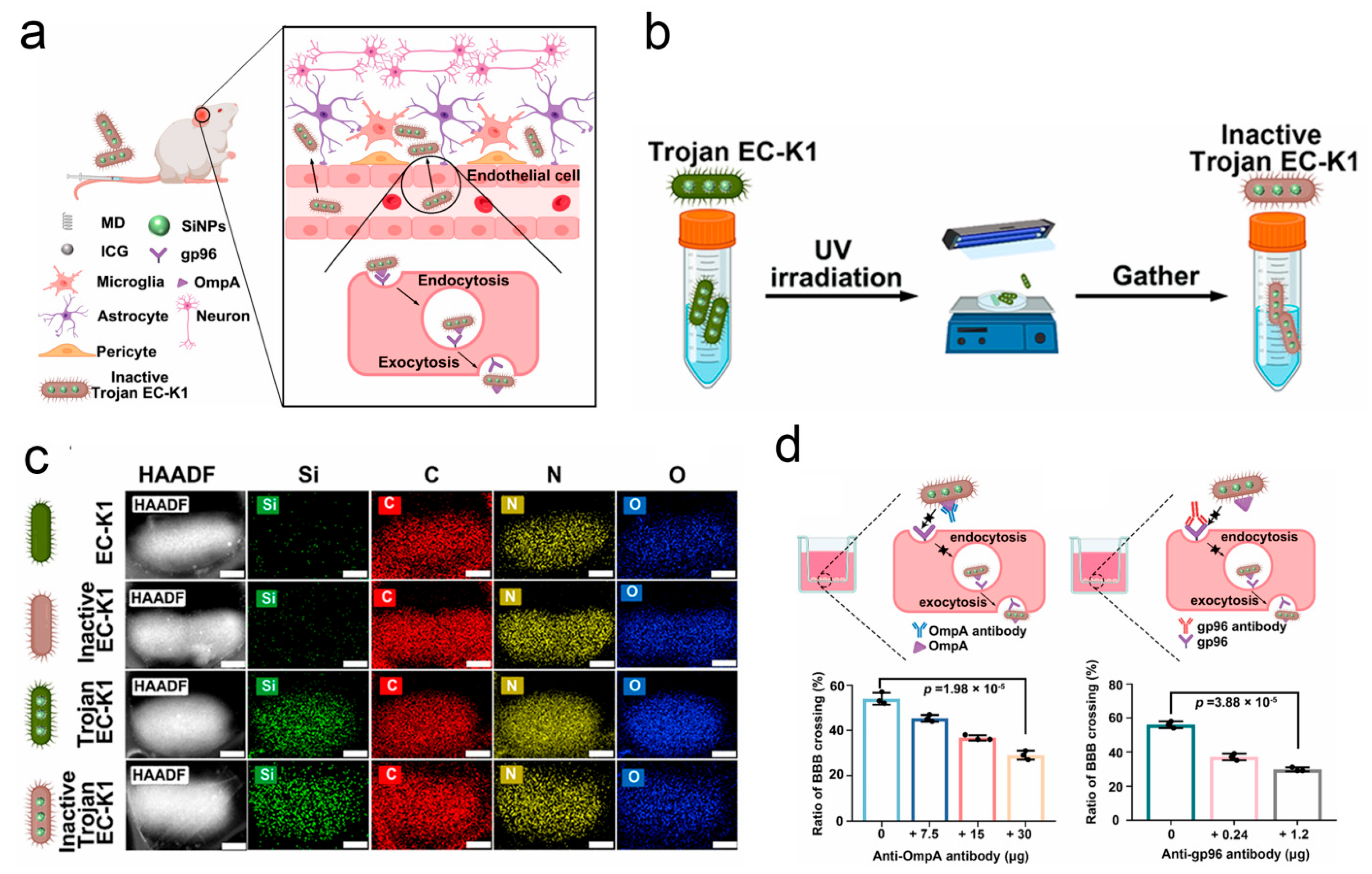 Pharmaceutics 17 01175 g007