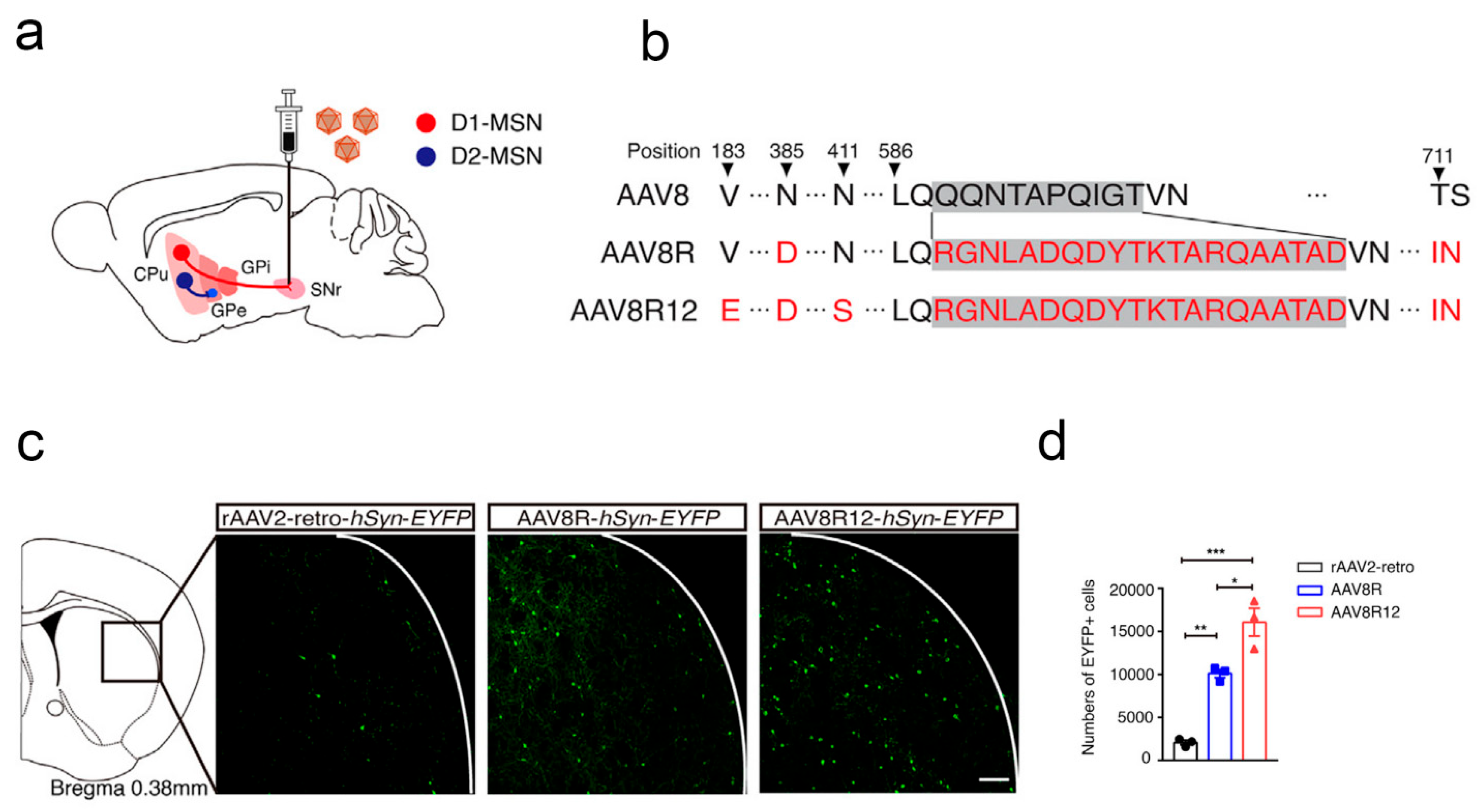 Pharmaceutics 17 01175 g008