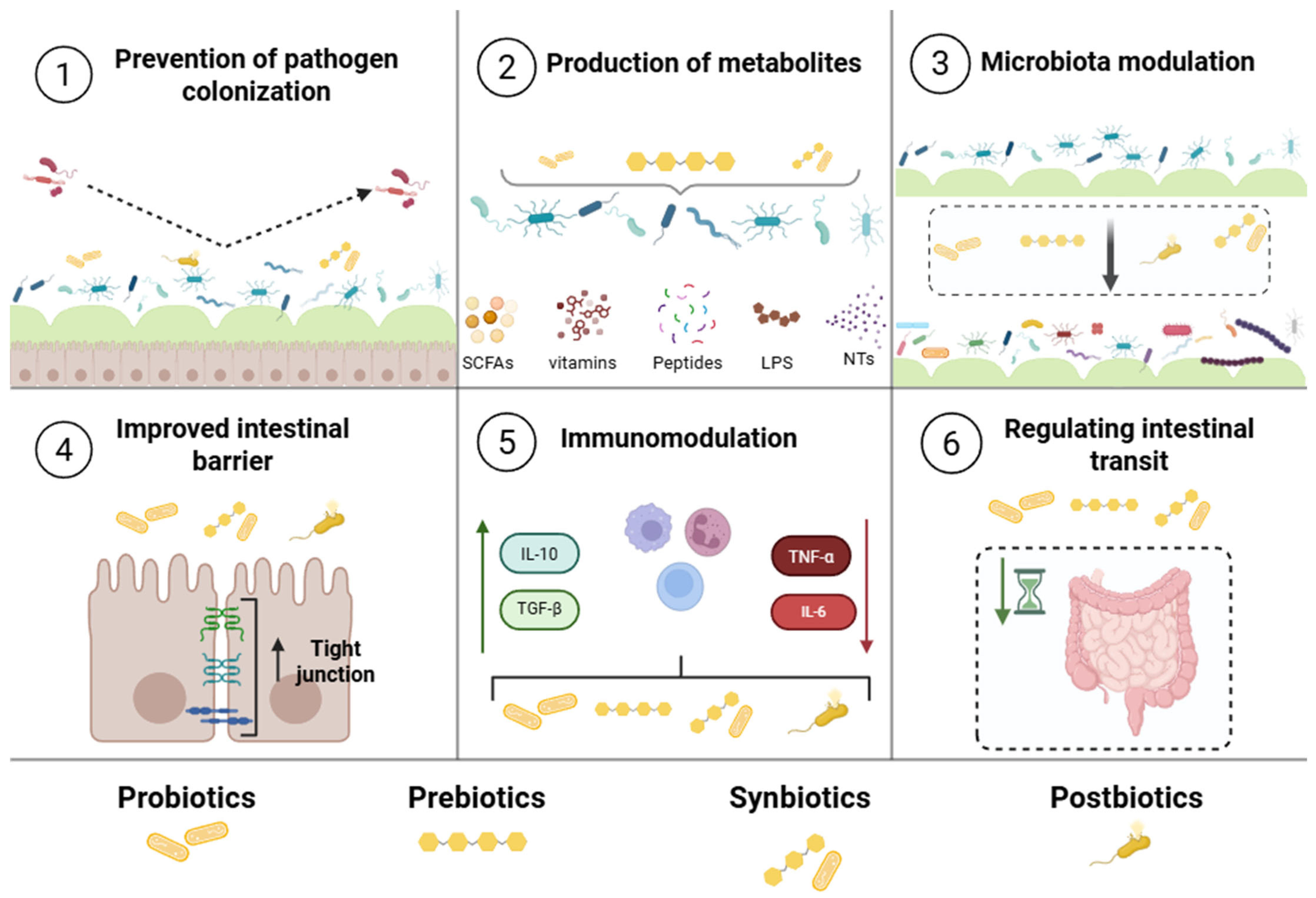Pharmaceutics 17 01180 g001 Pharmaceutics 17 01180 g001