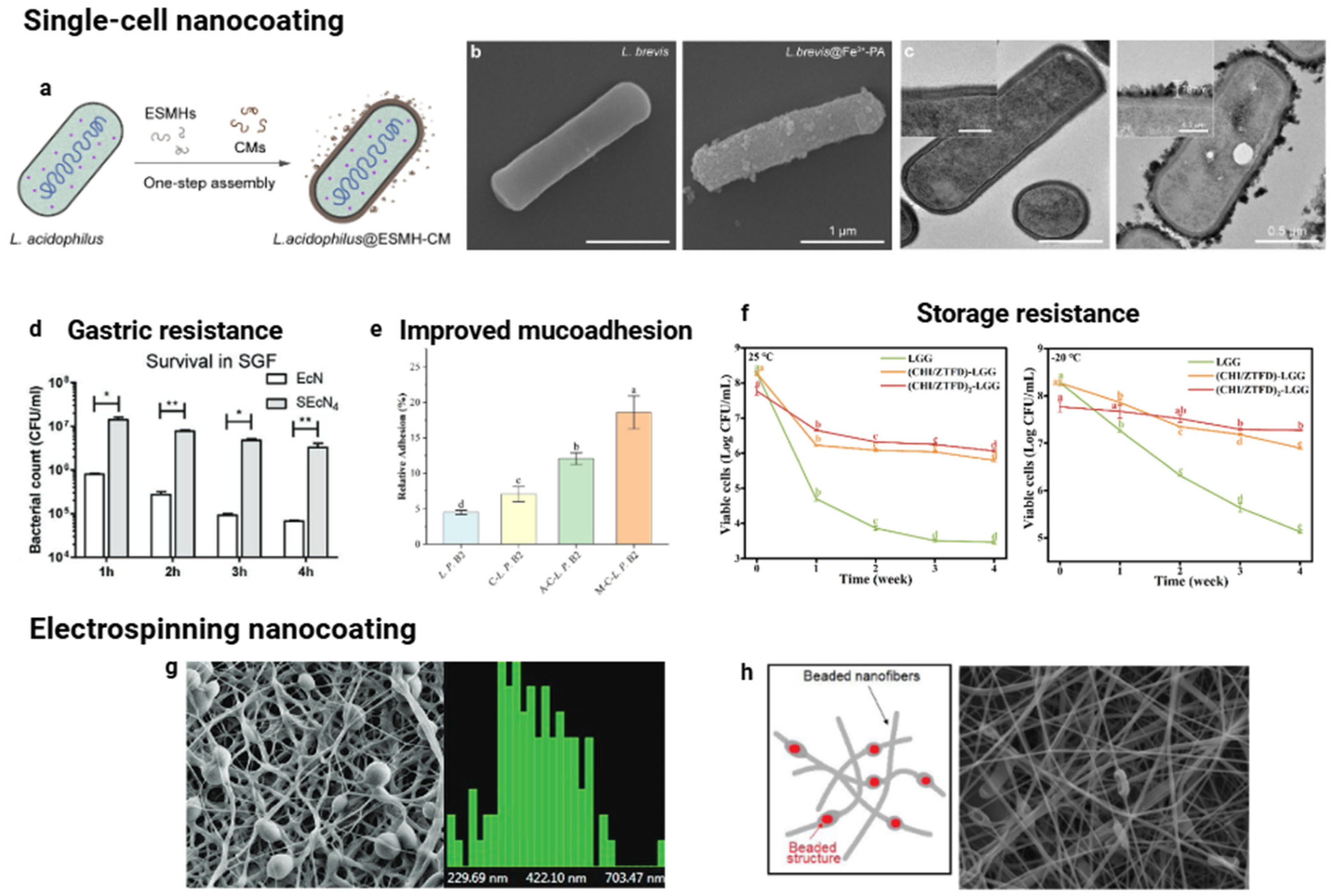 Pharmaceutics 17 01180 g003 Pharmaceutics 17 01180 g003