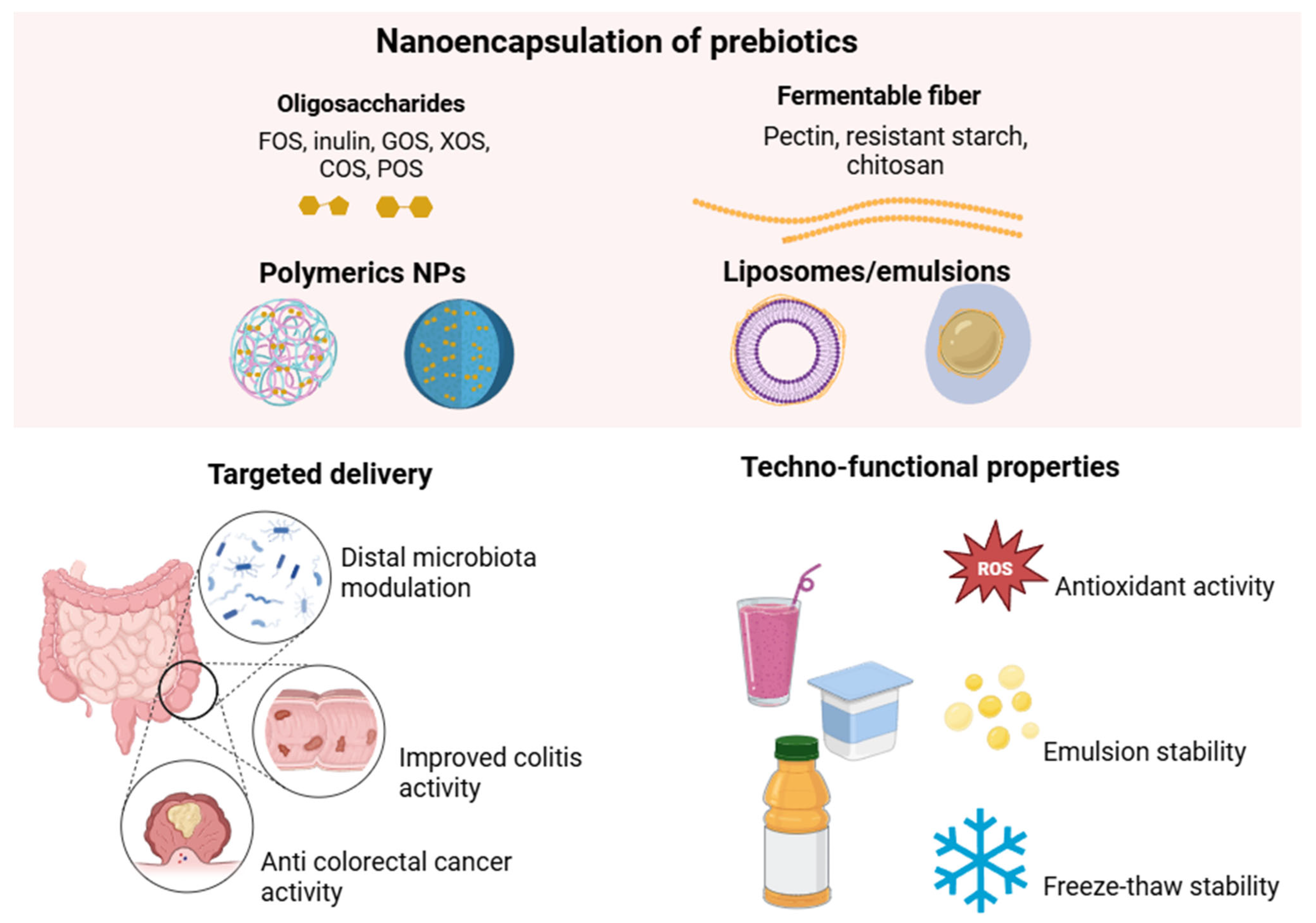 Pharmaceutics 17 01180 g004 Pharmaceutics 17 01180 g004