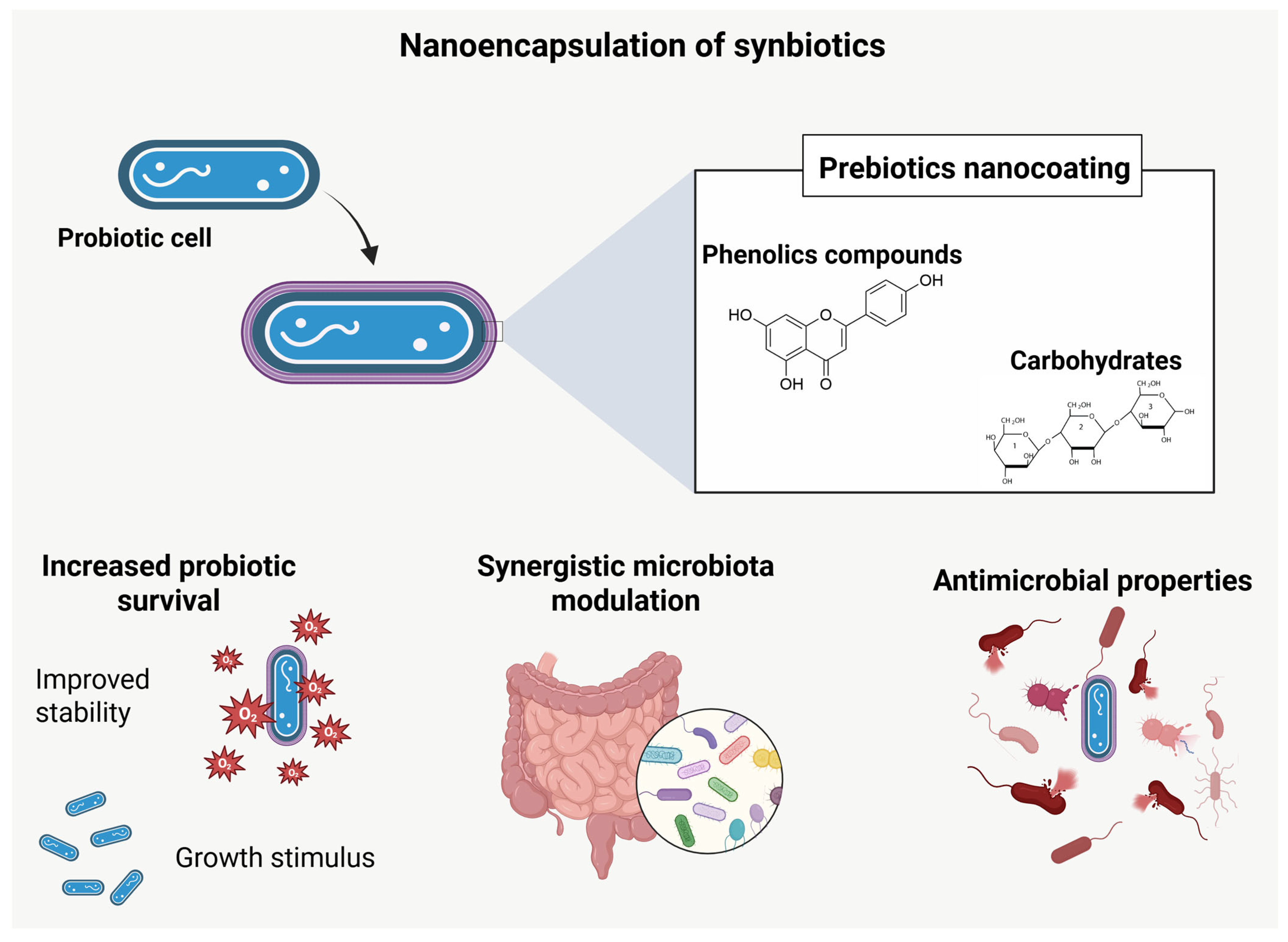 Pharmaceutics 17 01180 g005 Pharmaceutics 17 01180 g005