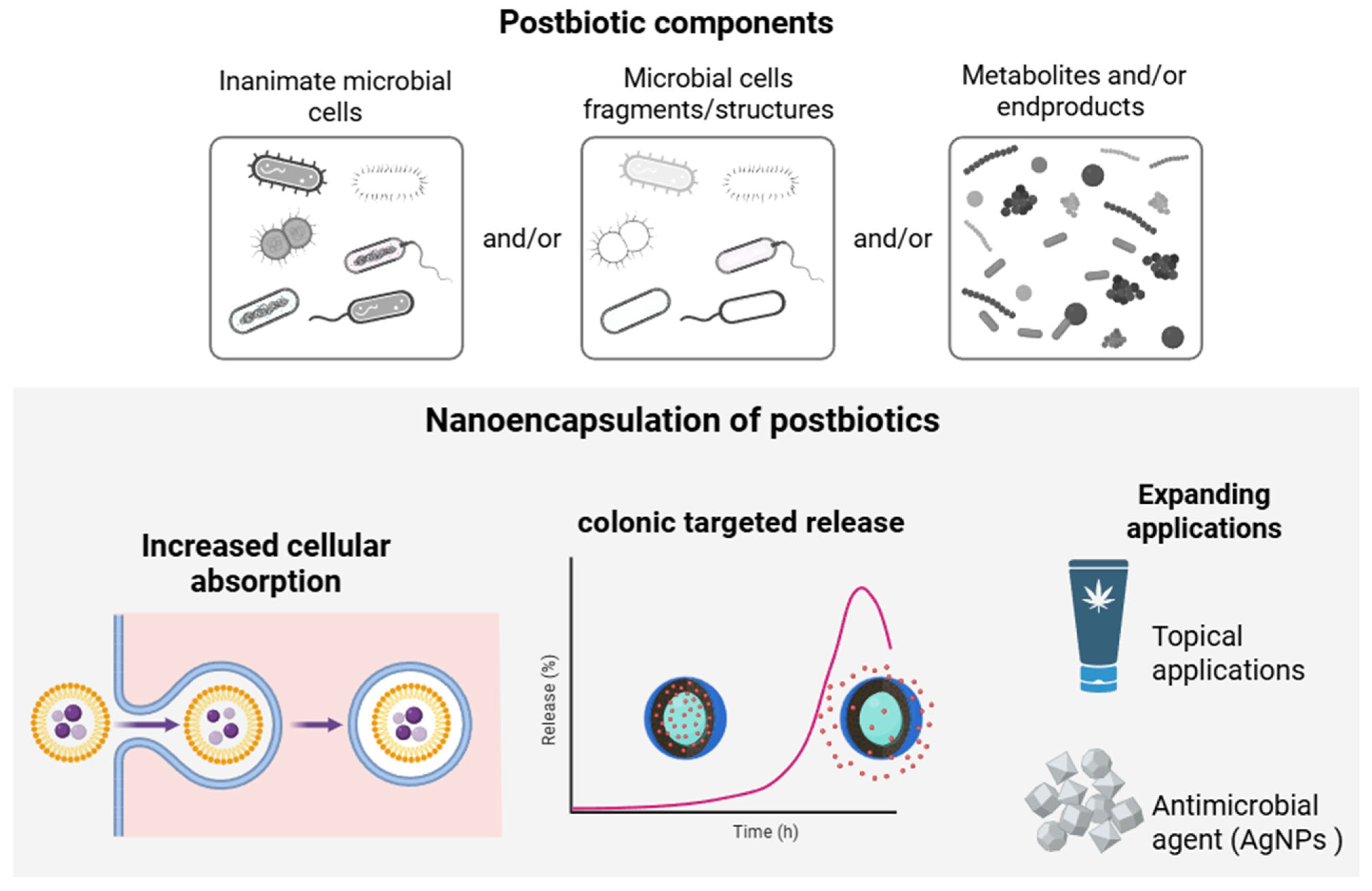 Pharmaceutics 17 01180 g006 Pharmaceutics 17 01180 g006