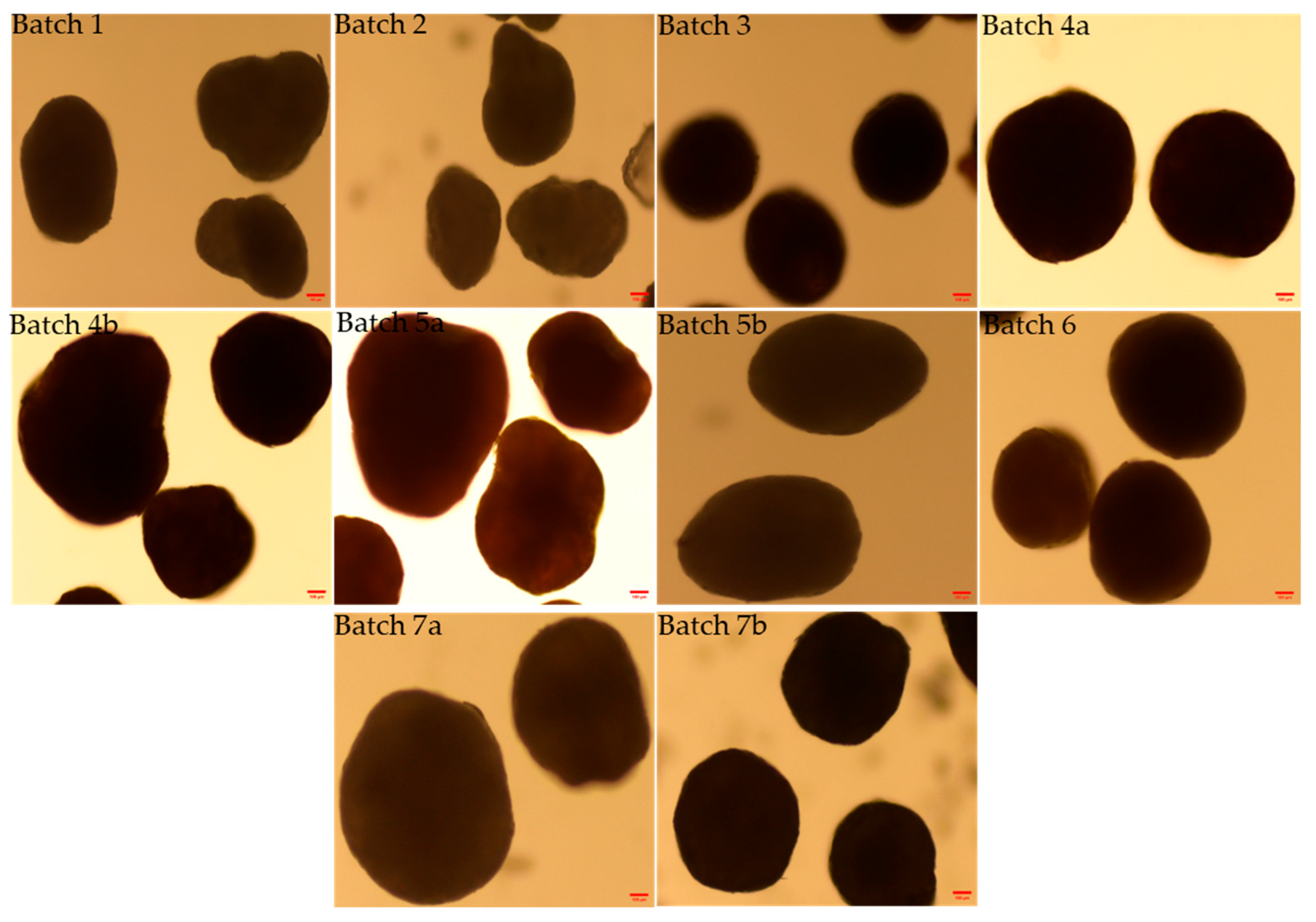 Pharmaceutics 17 01187 g004
