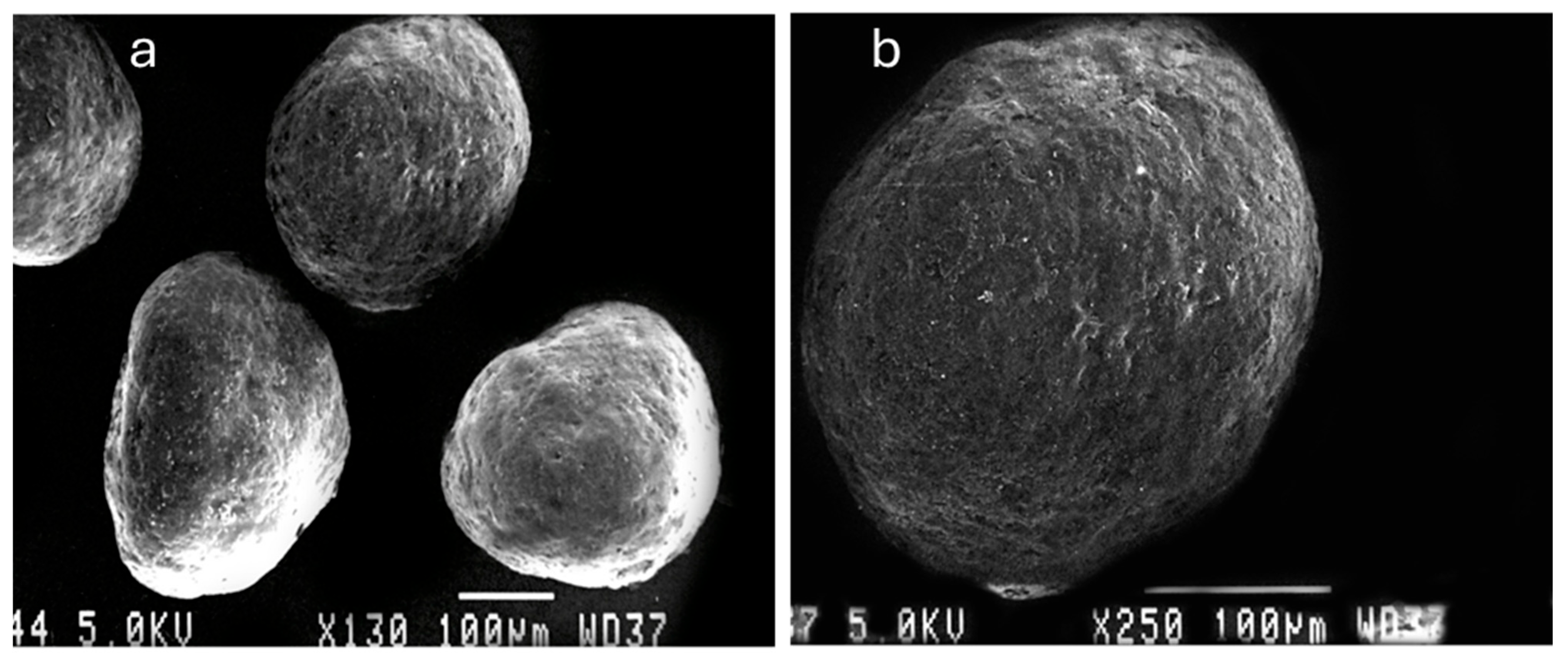 Pharmaceutics 17 01187 g005