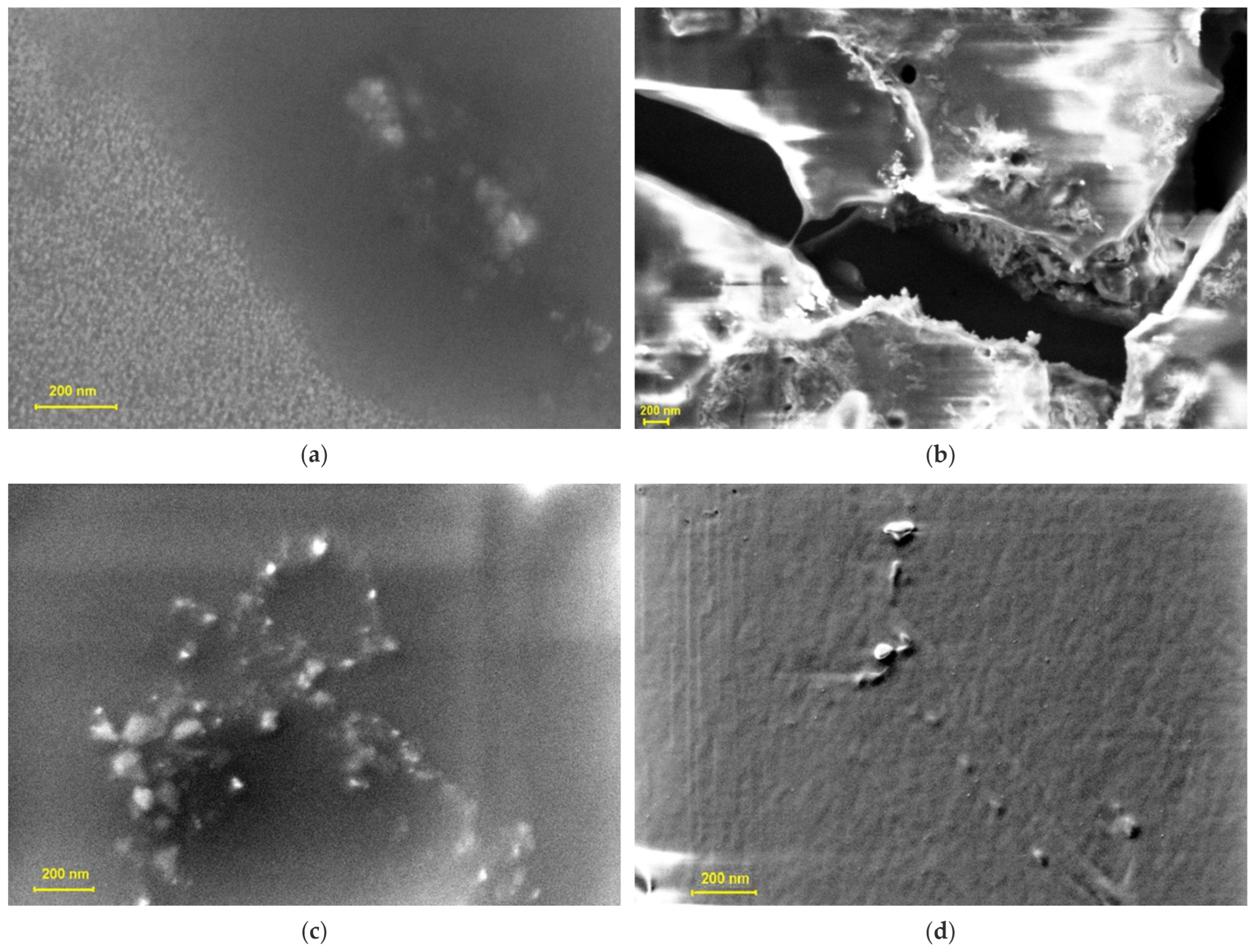 Pharmaceutics 17 01189 g003