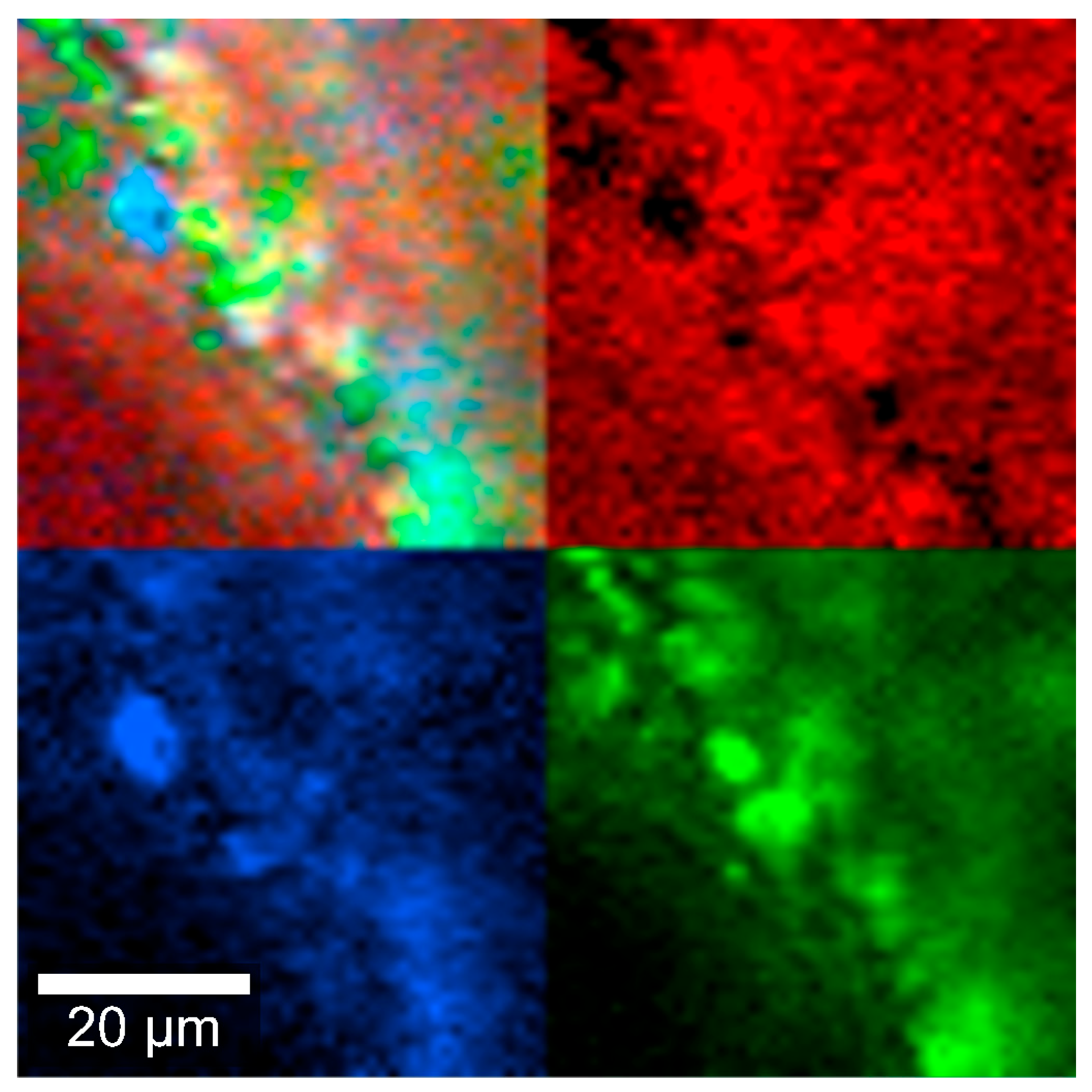 Pharmaceutics 17 01191 g005