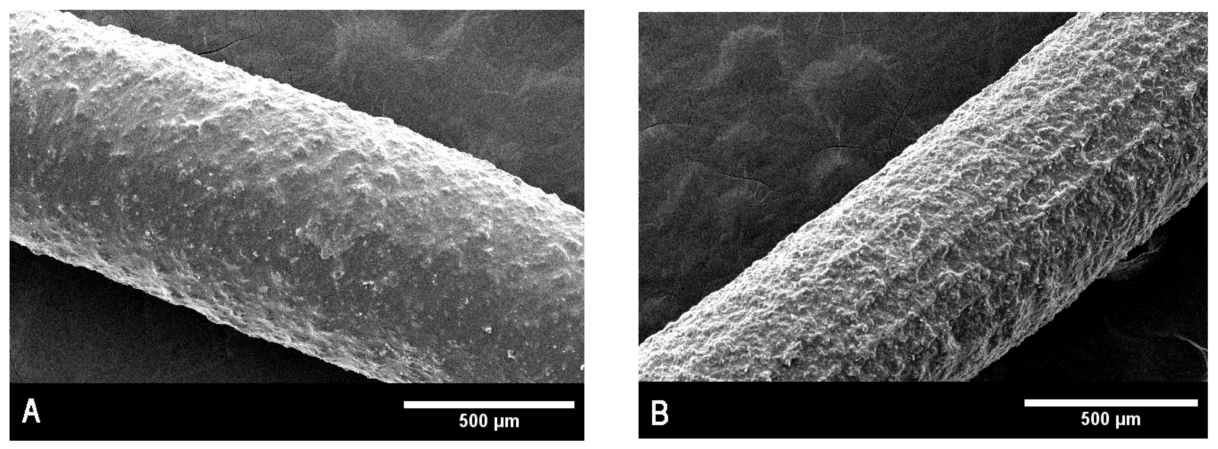 Pharmaceutics 17 01191 g007