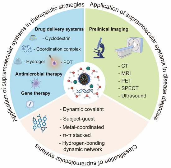 Recent Advances in Supramolecular Systems for Precision Medicine ...