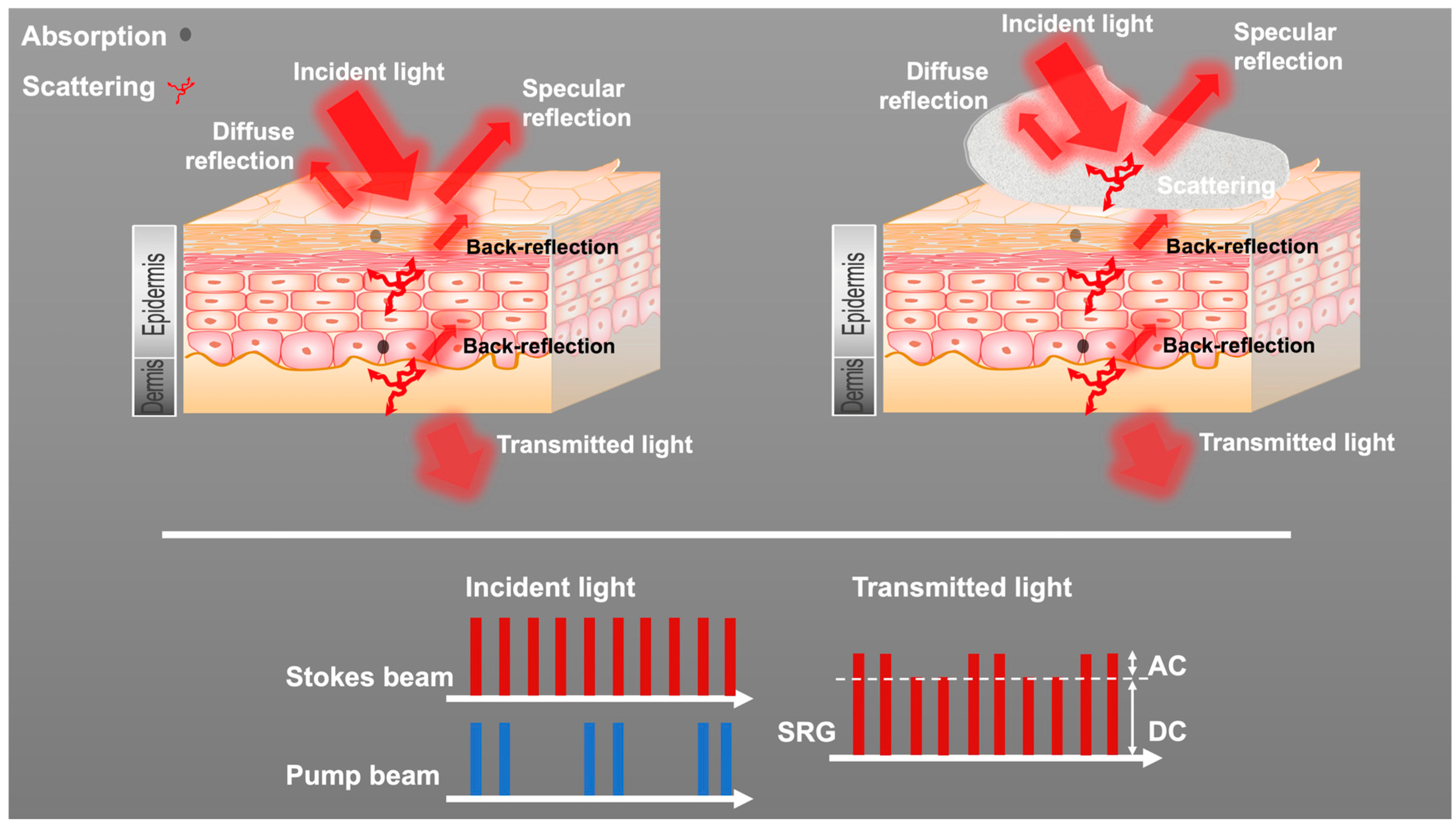 Pharmaceutics 17 01193 g002 Pharmaceutics 17 01193 g002