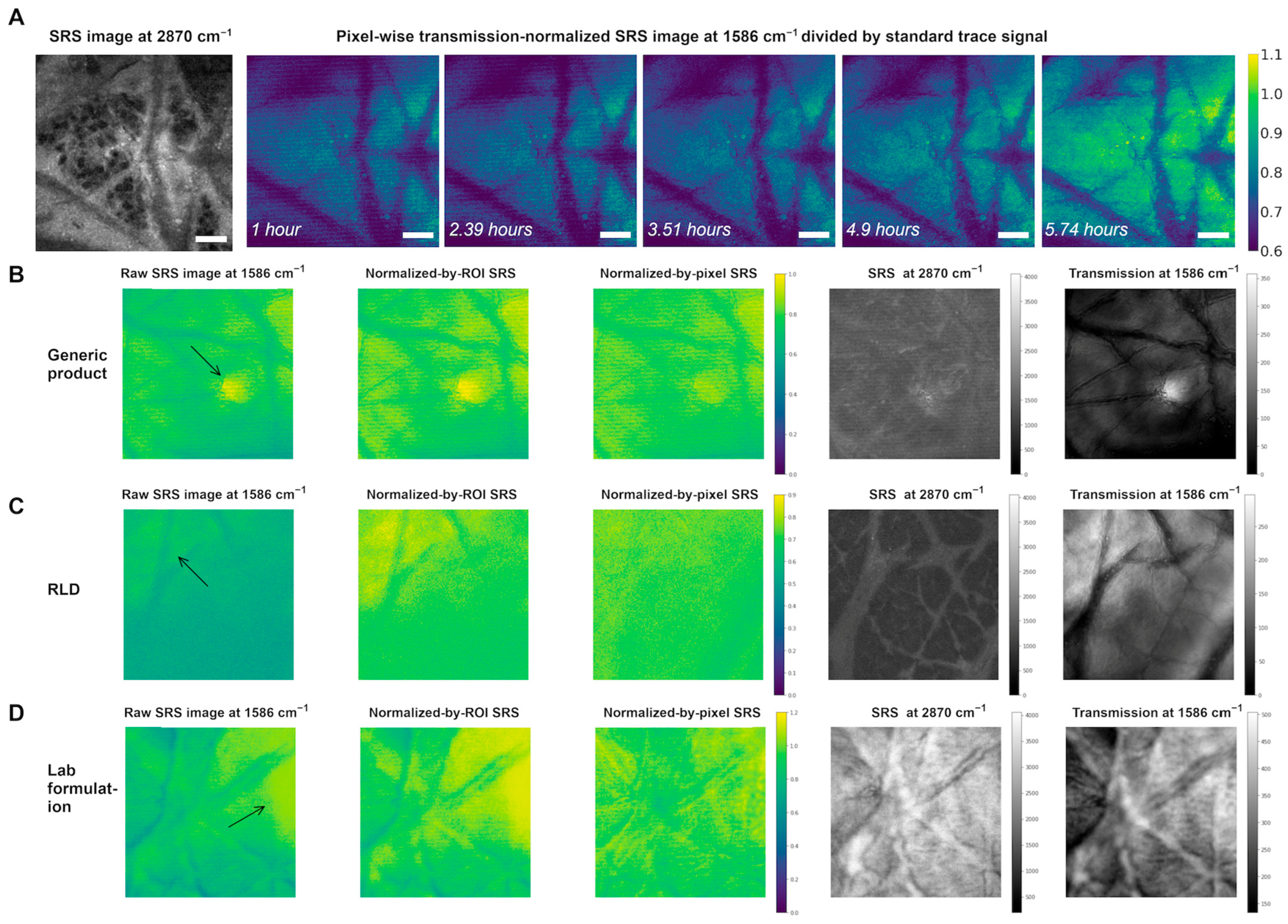 Pharmaceutics 17 01193 g006 Pharmaceutics 17 01193 g006