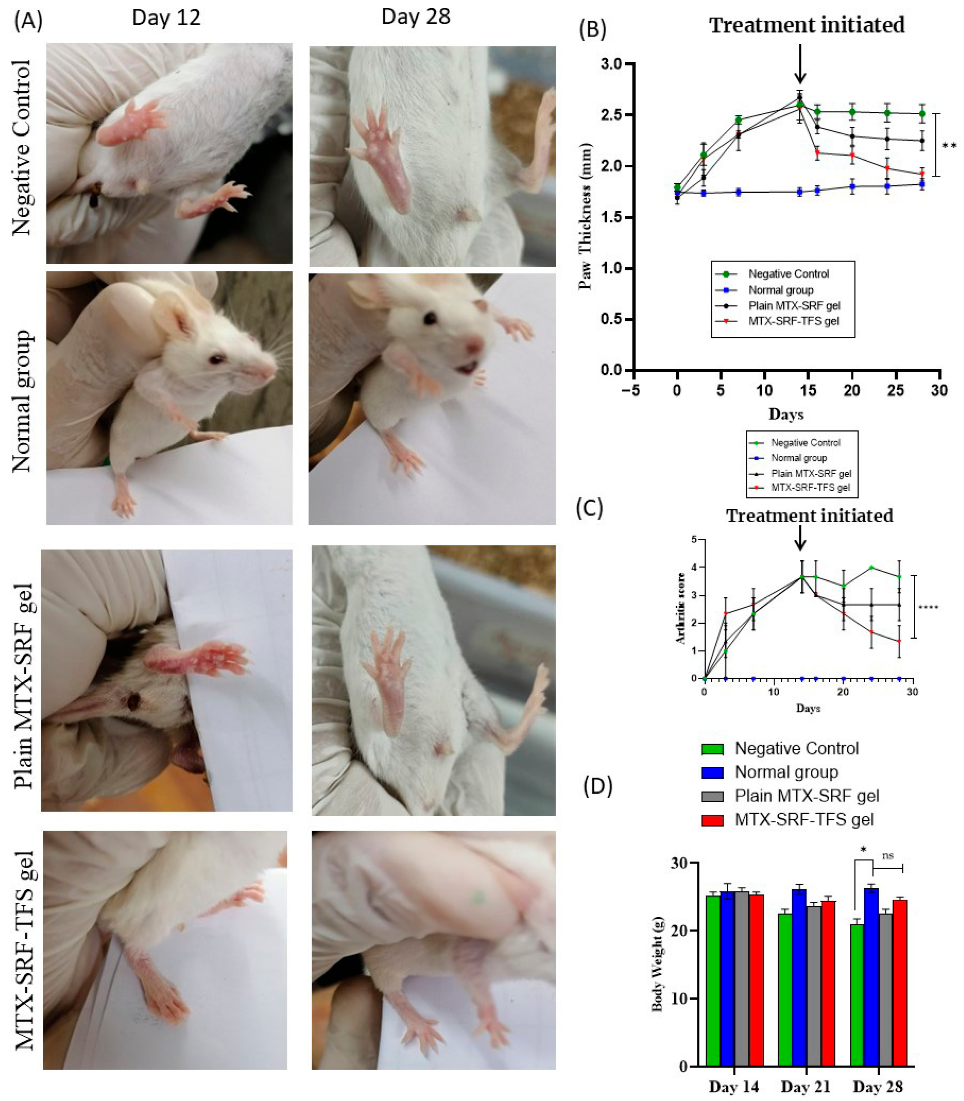 Pharmaceutics 17 01196 g003
