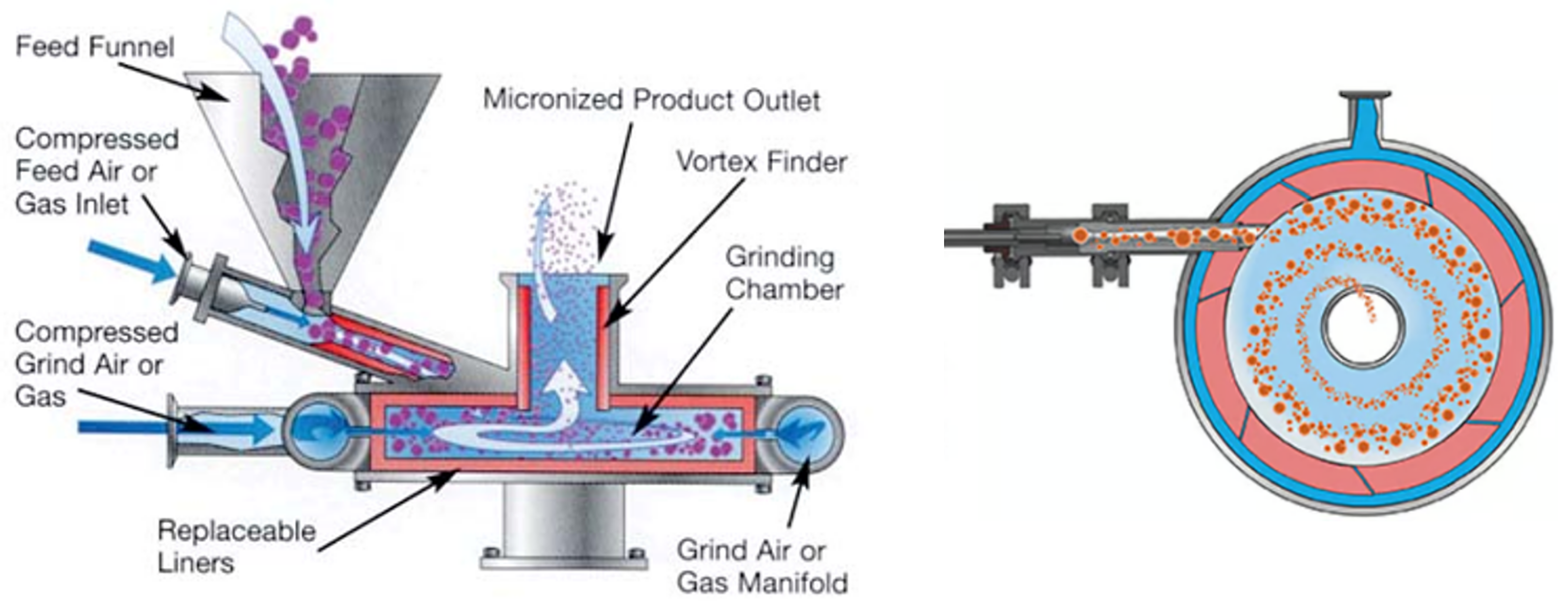 Pharmaceutics 17 01197 g002