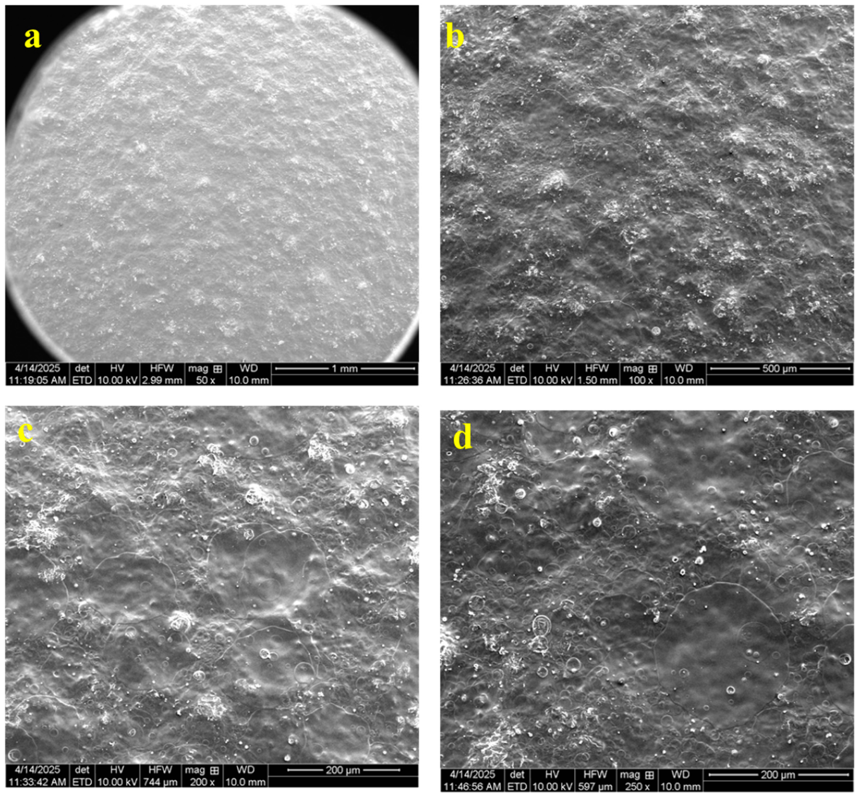 Pharmaceutics 17 01198 g006